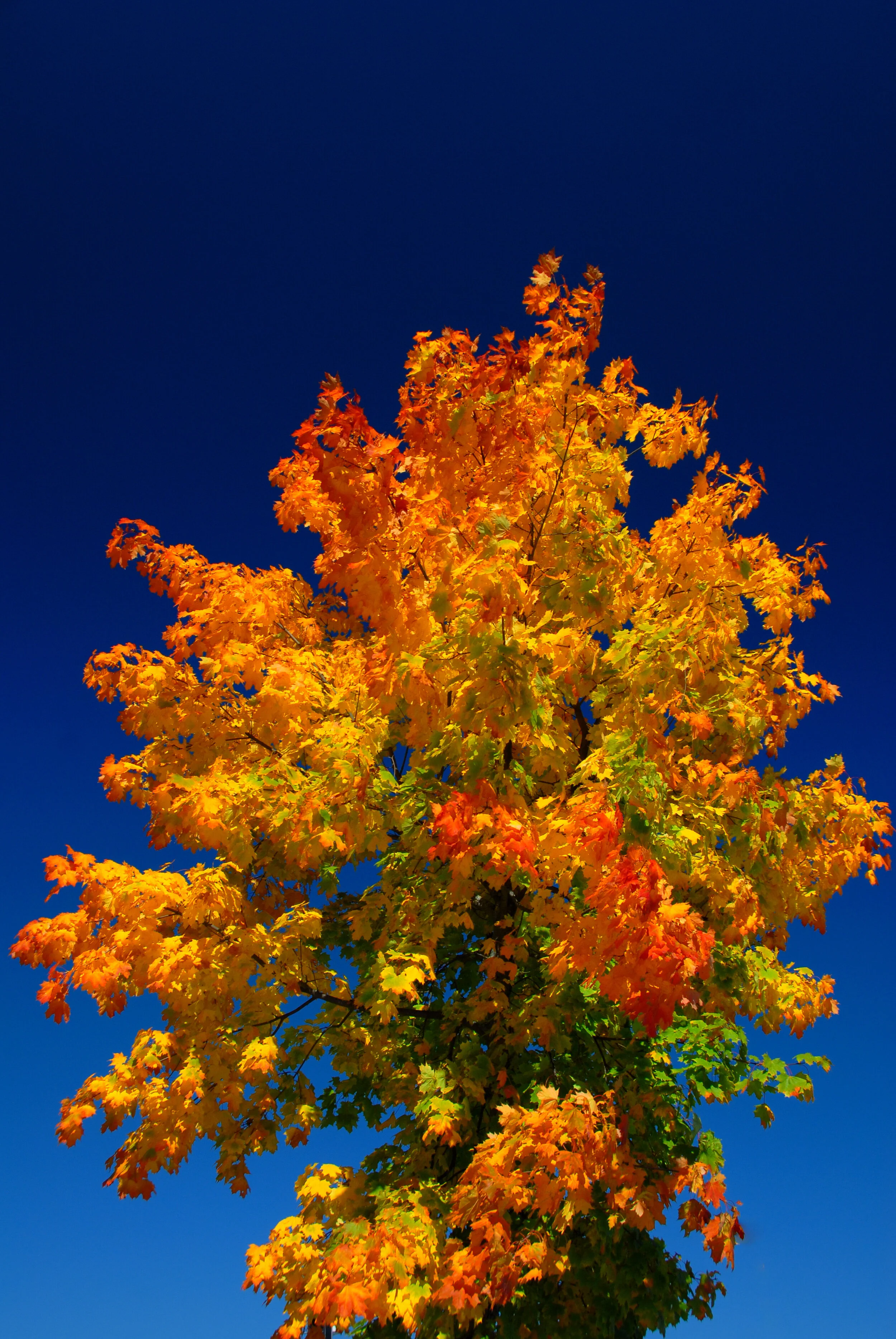 Jetzt übertreibt er's aber, oder ?