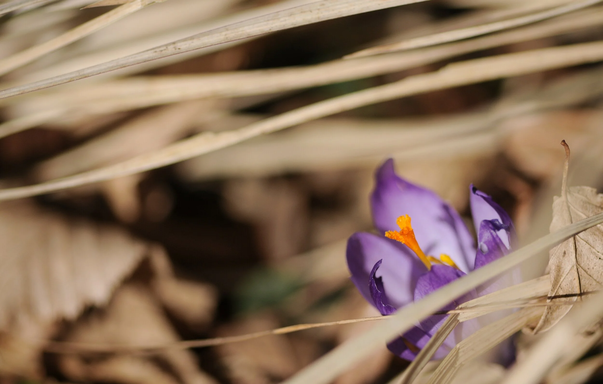 Man sollte sich halt trauen...