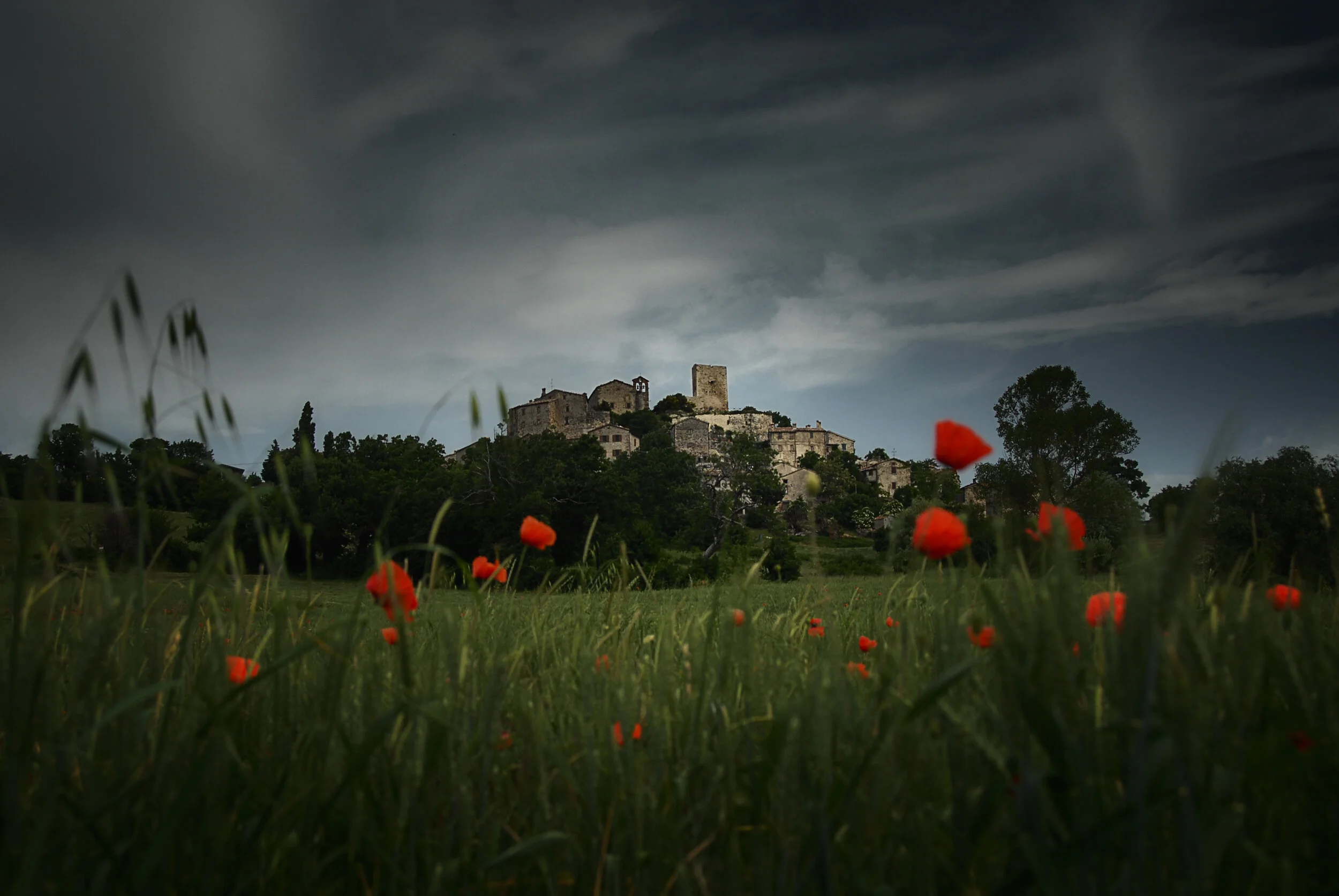 Petrella Guidi - Marken