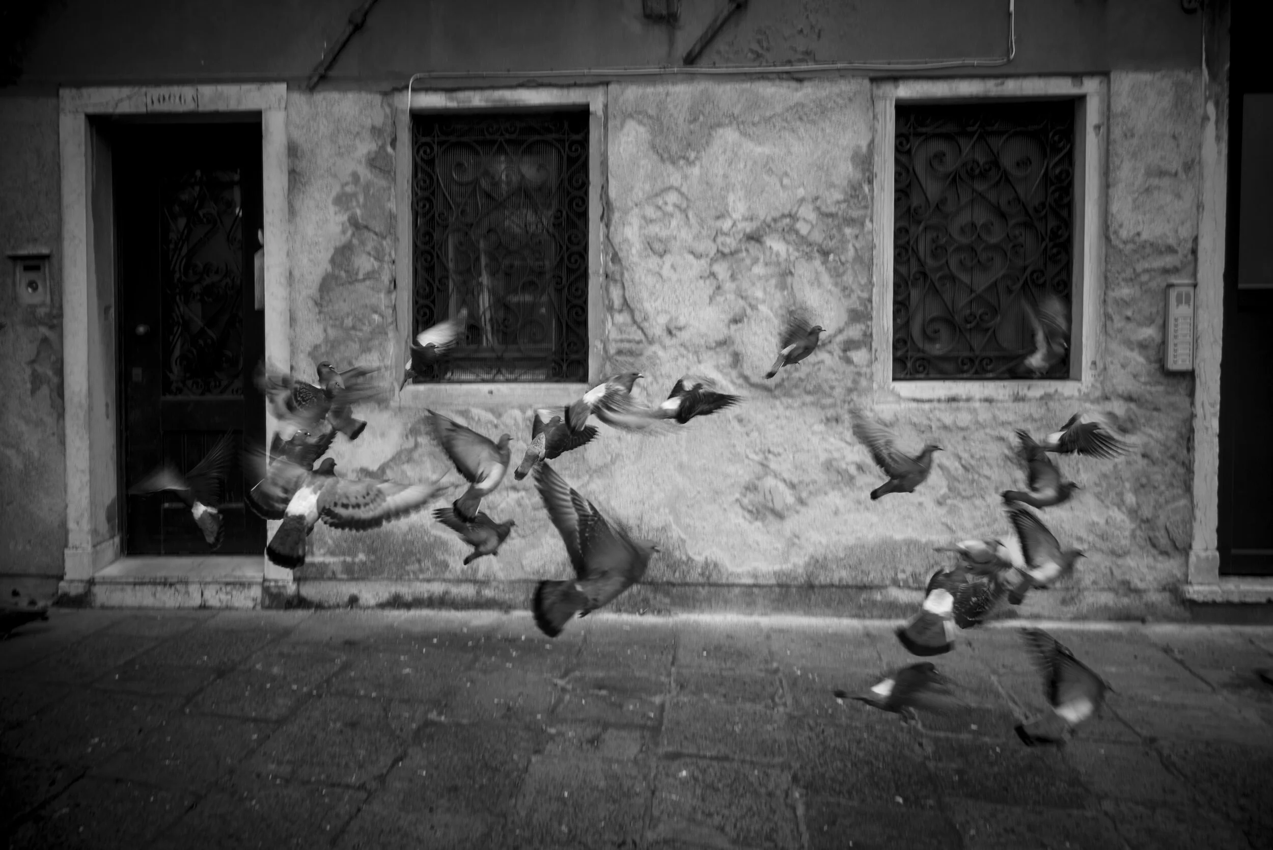 Monochromia - Venedig, Dorsoduro