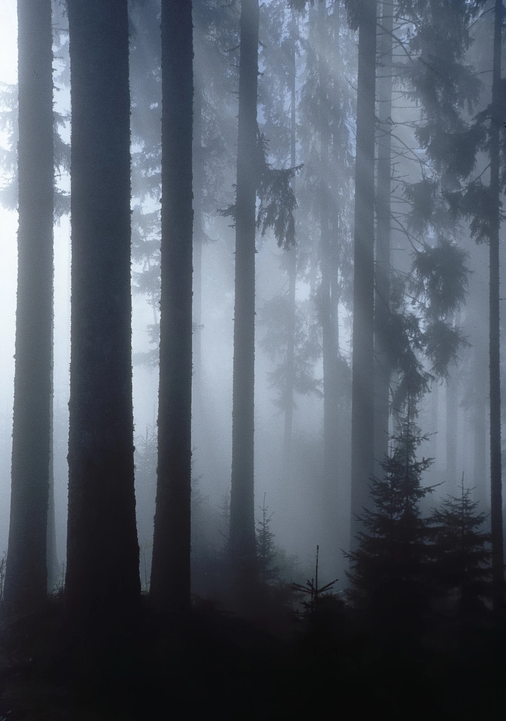 Still und leis' - Oistra, Kärnten