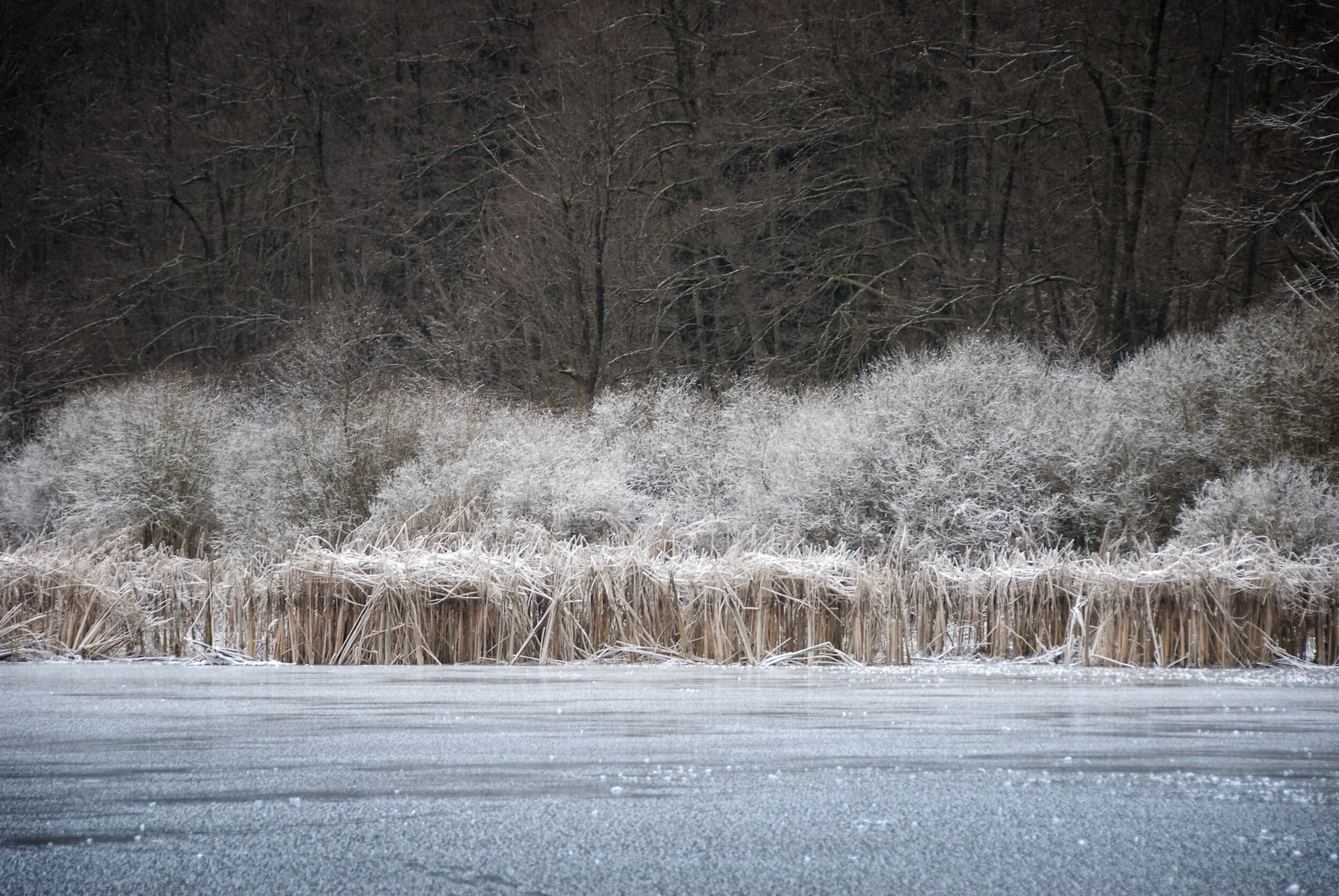 Tiefkühlkost - Hallegger Teiche, Kärnten