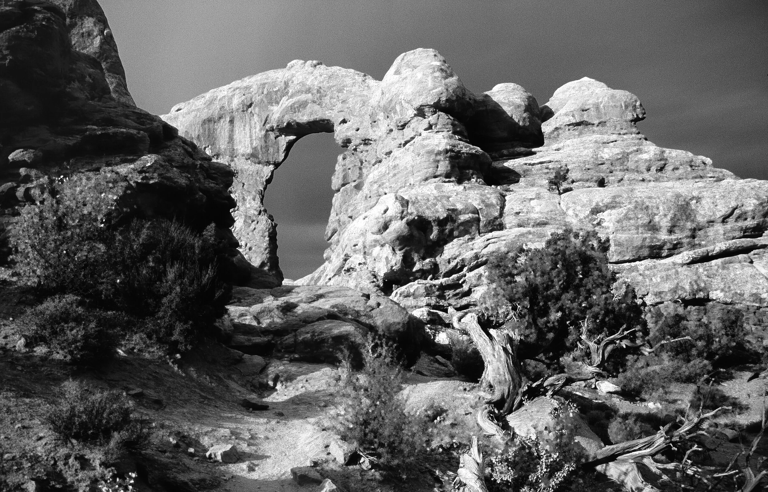 Arches N.P., Windows Section - Utah, USA
