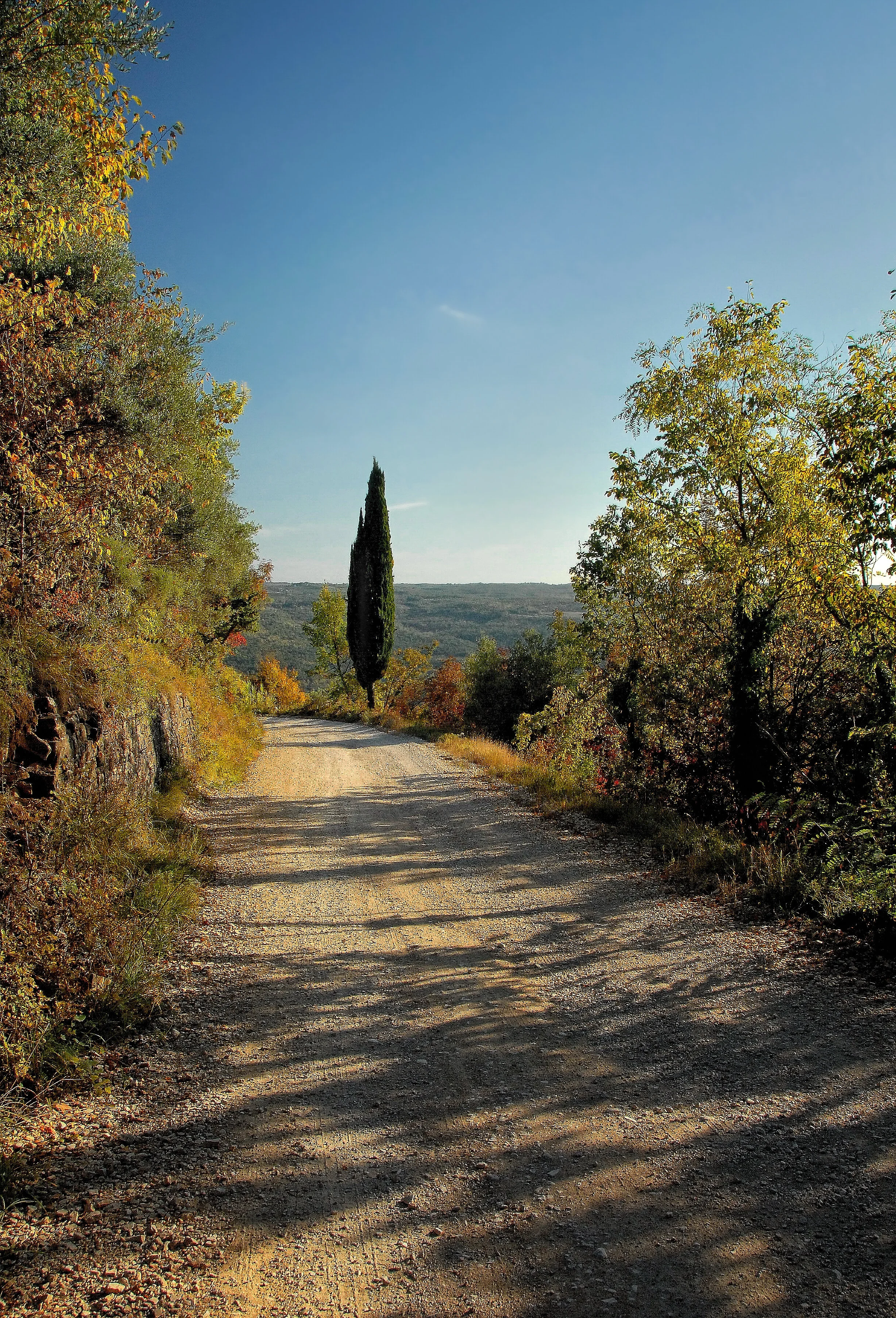 Eine der Traumstrassen