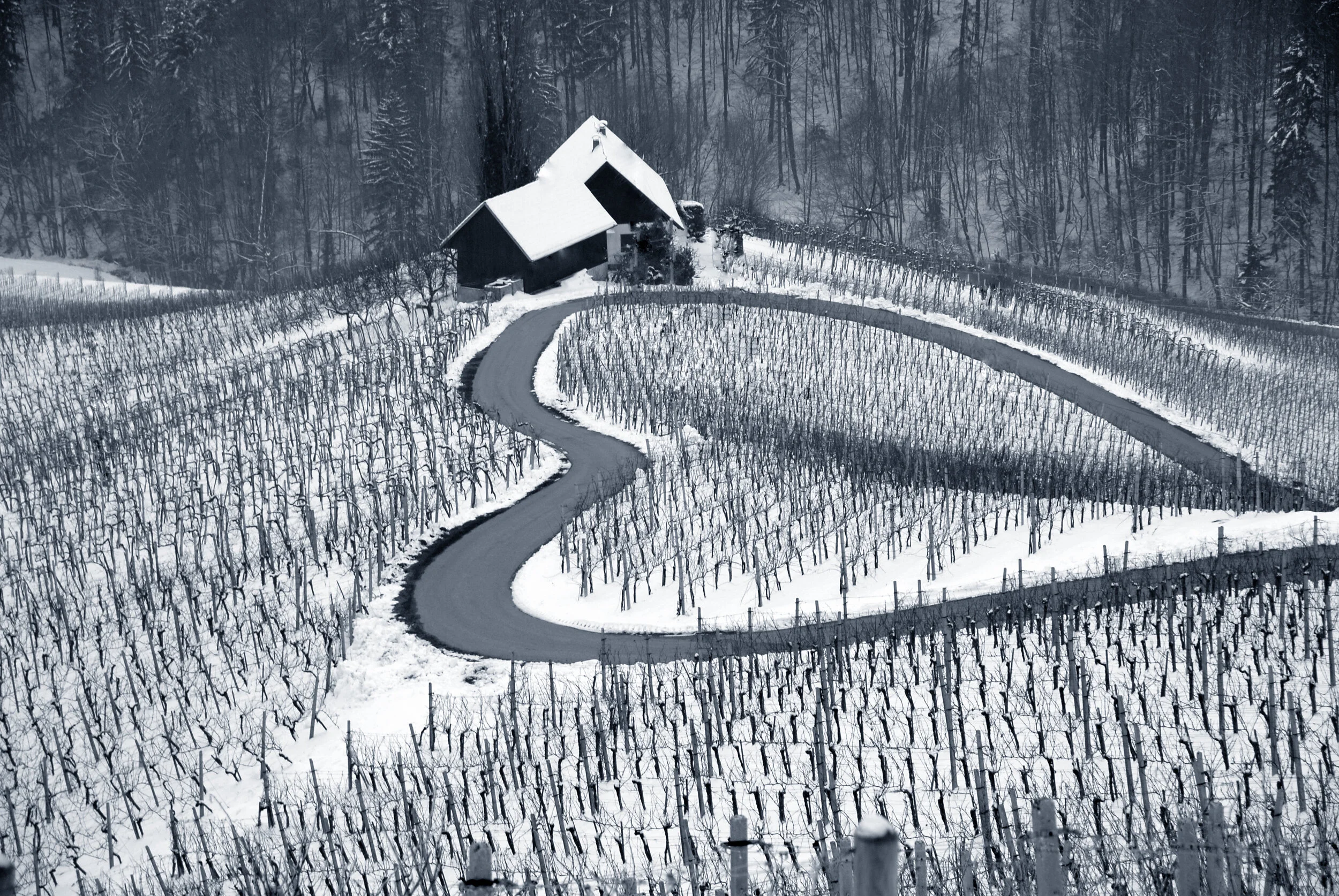 Kalt ums Herz - Herzerlstrasse Slowenien