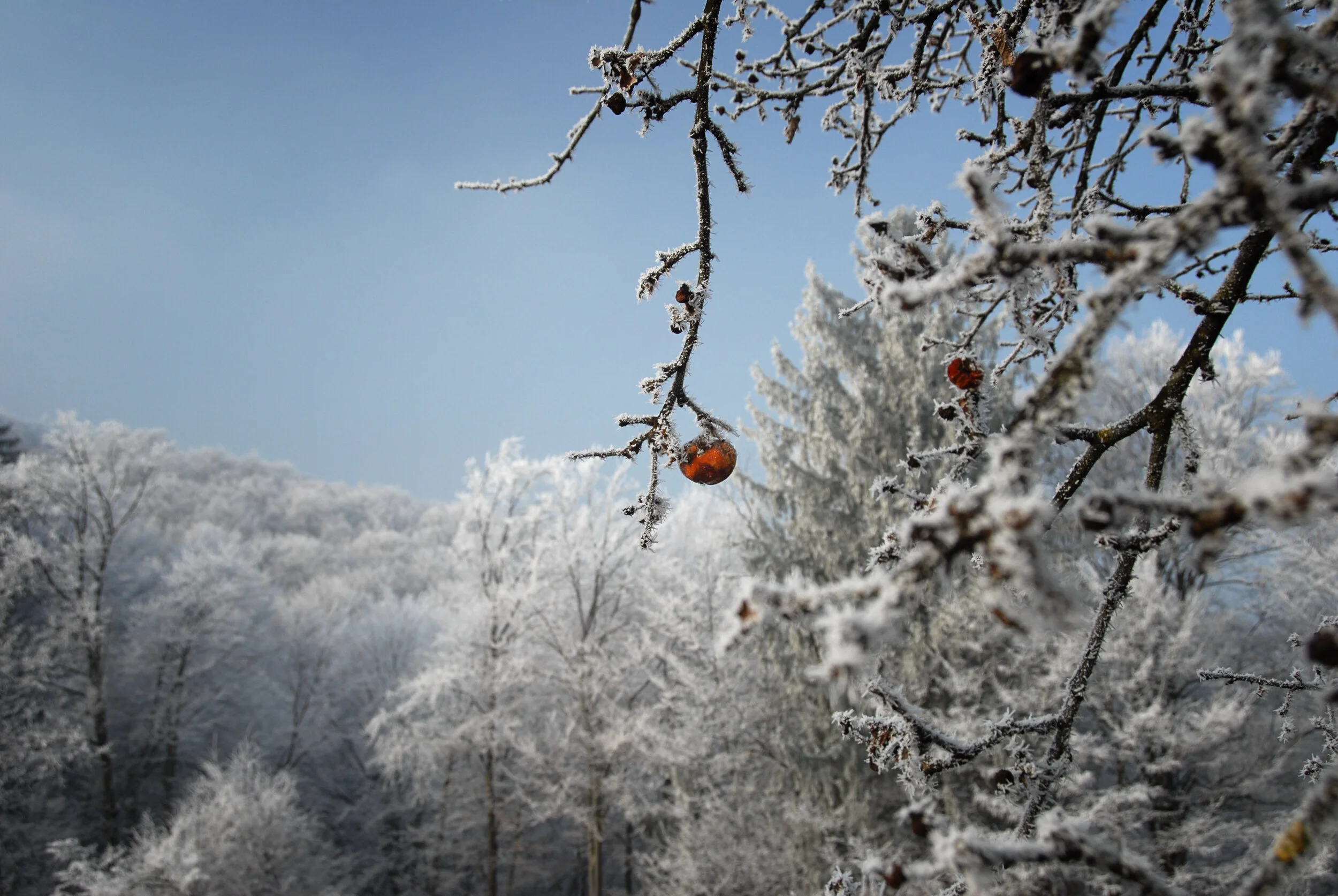 Loslassen können....