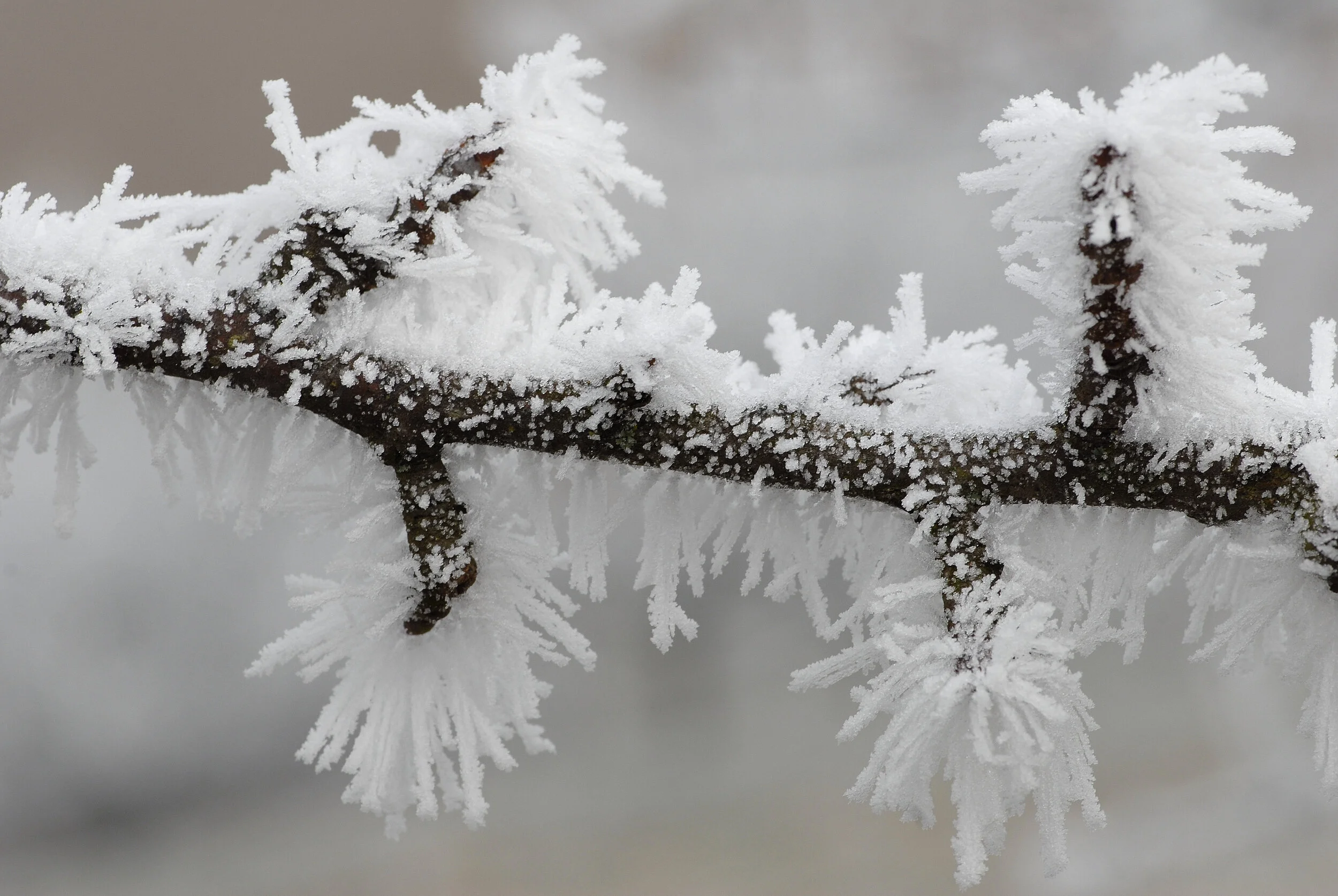 Nur noch das Eis wächst. Und die Träume...