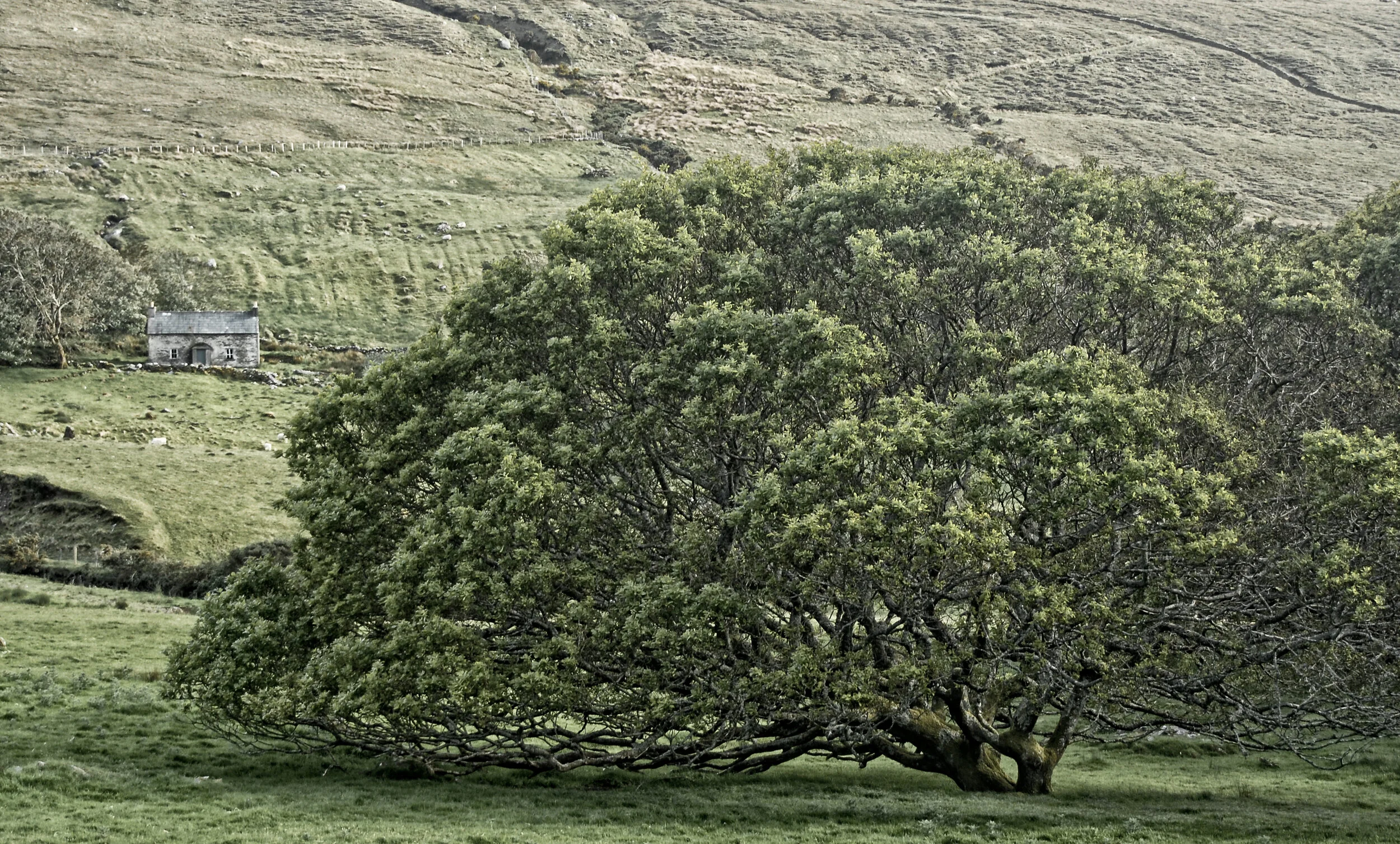 Donegal Dreams - Glencolumbkille