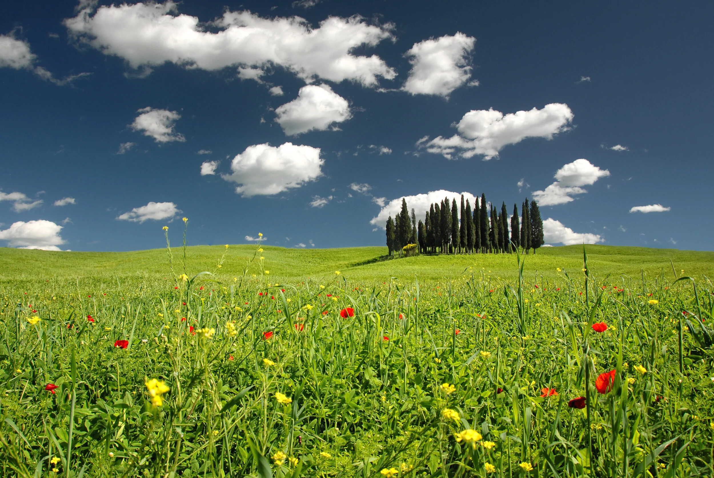 Im Val d'Orcia