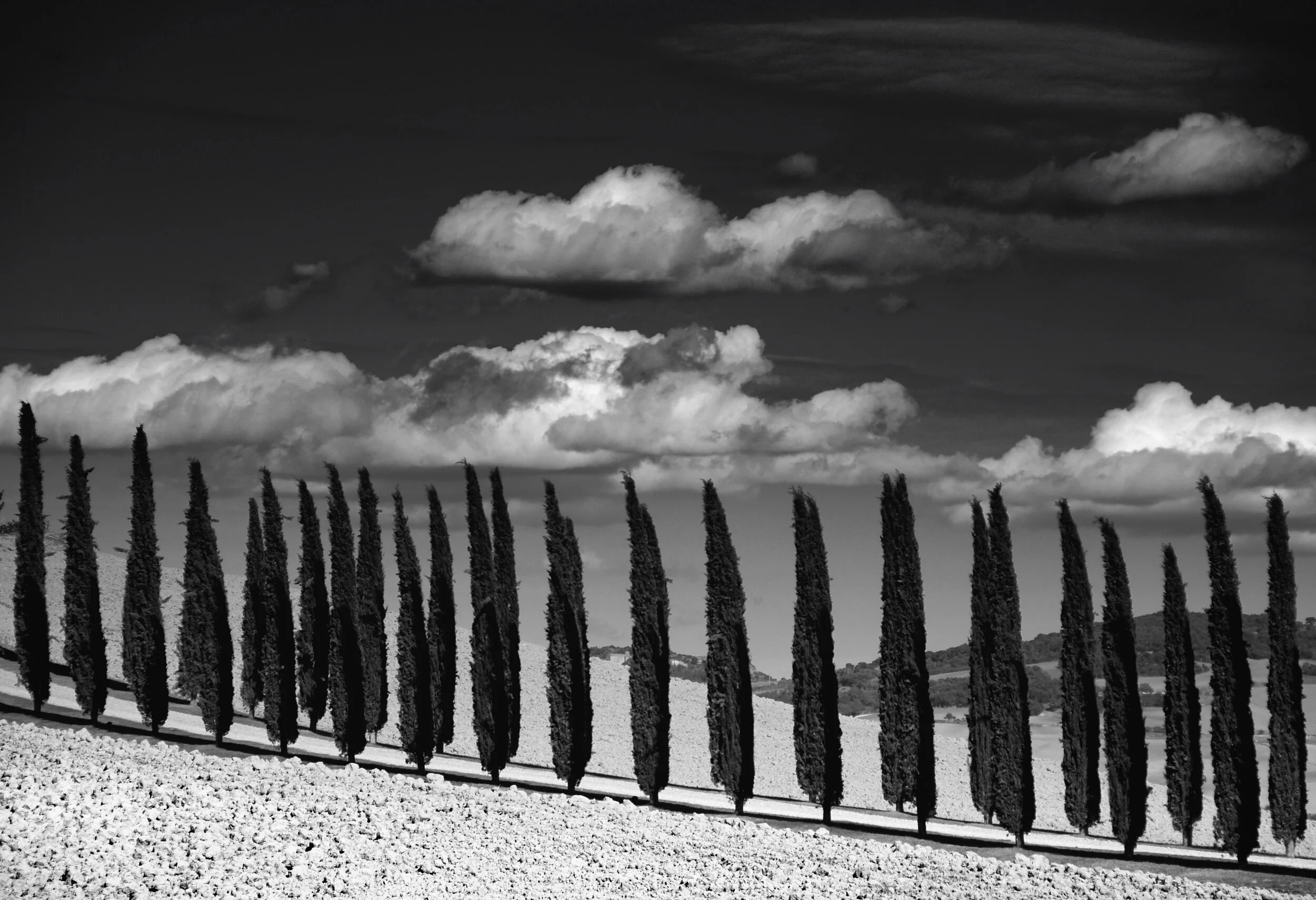 Die Ordnung der Dinge