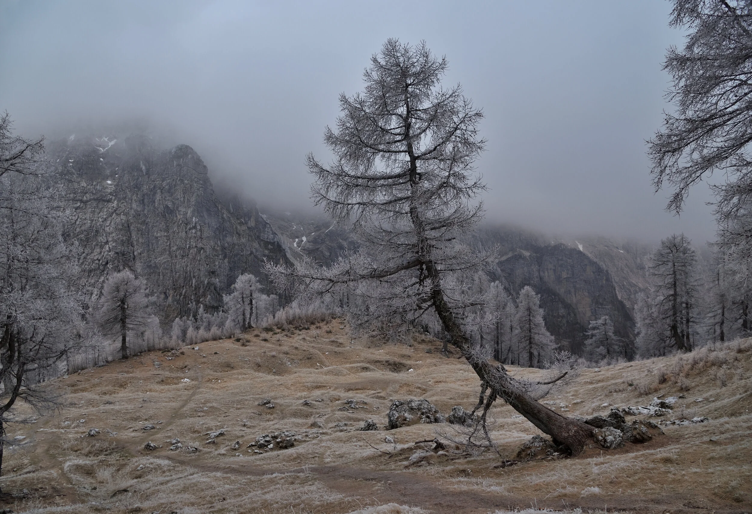 Spätherbst auf der Sleme - Julische Alpen, Slowenien