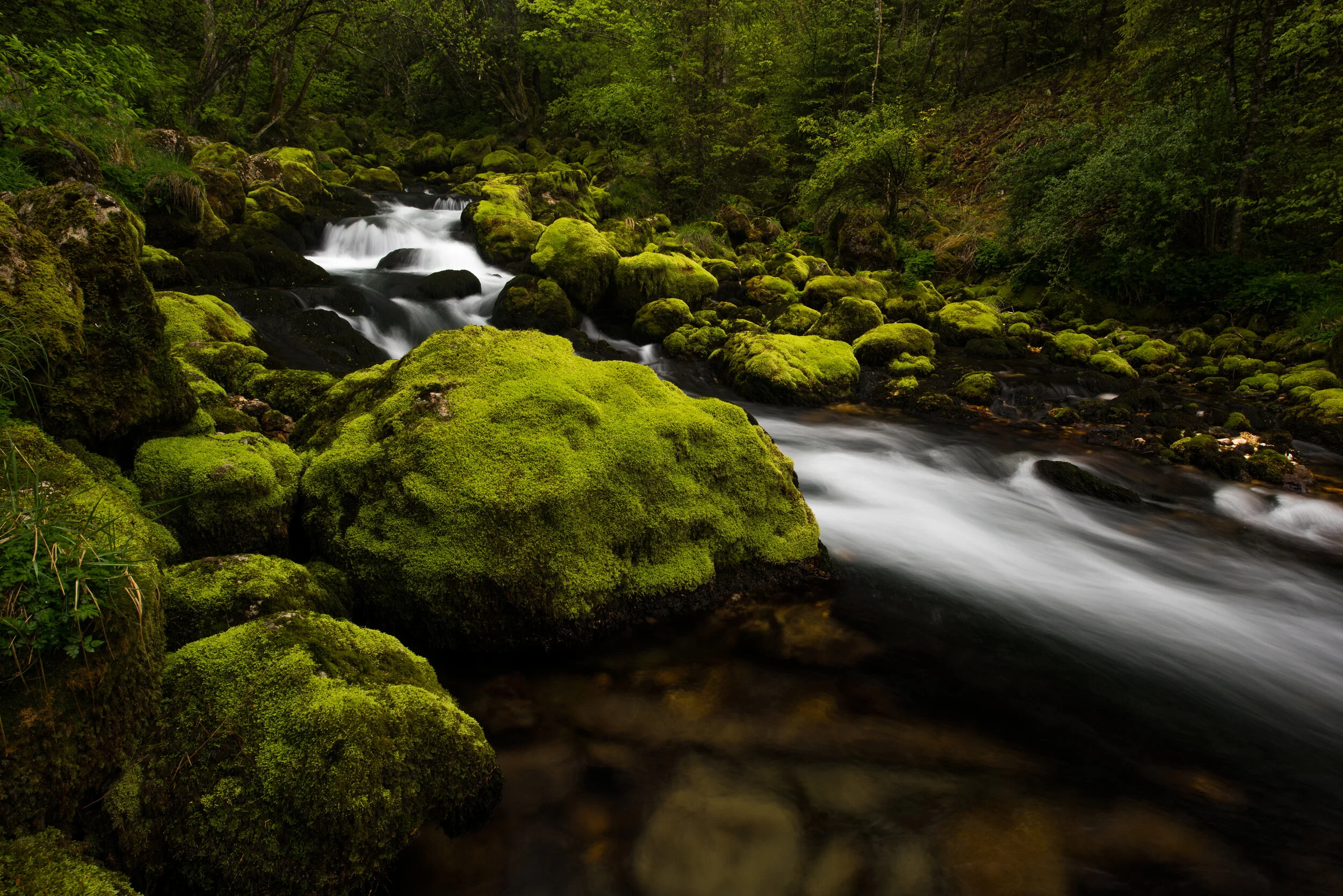 Die Quelle - Gljun, Bovec/Slowenien