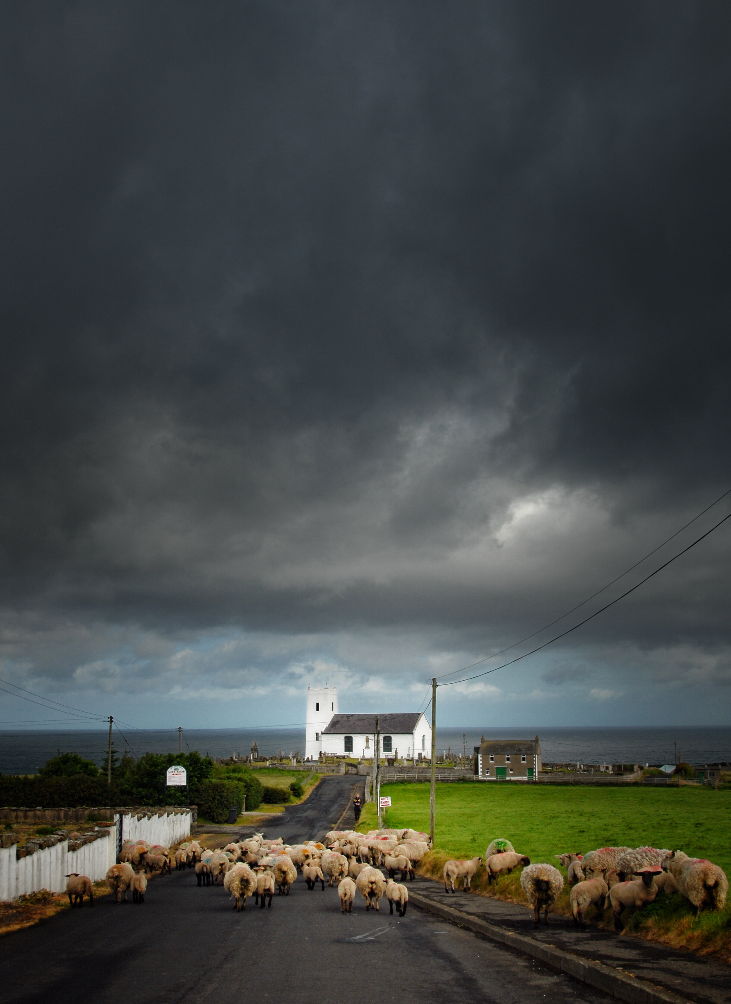 Sharing The Road - Ballintoy