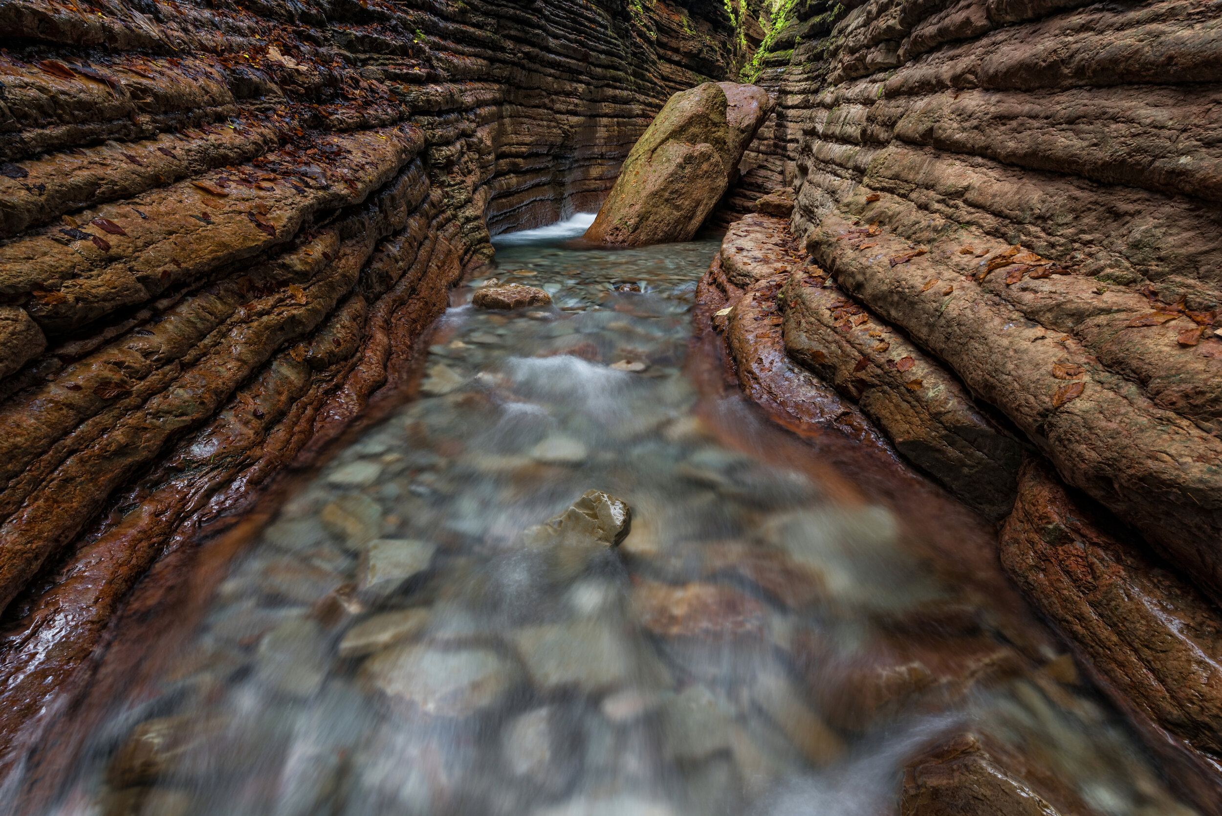 Erfüllter Wunschtraum