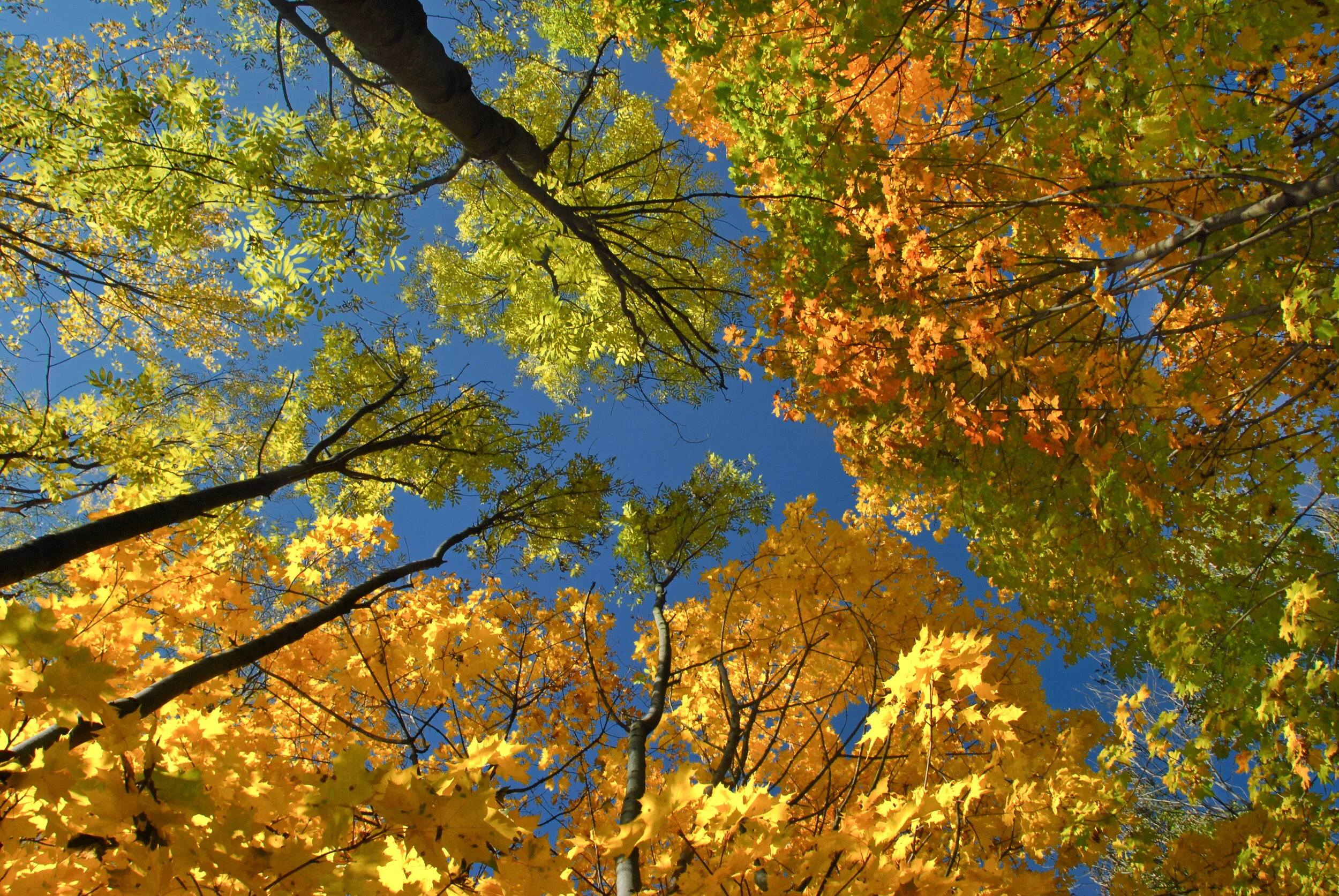 Ein Himmel voller Licht und Farben