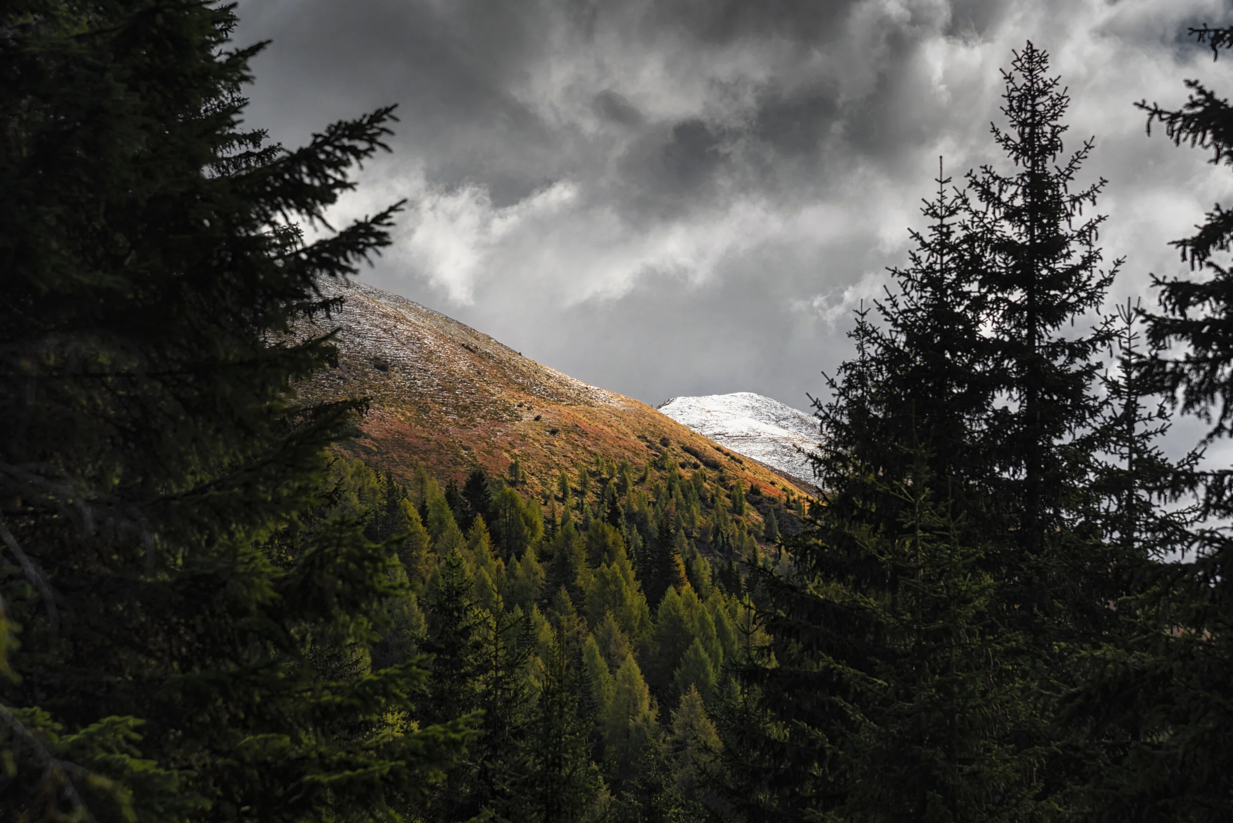 Der Abschied der Farben