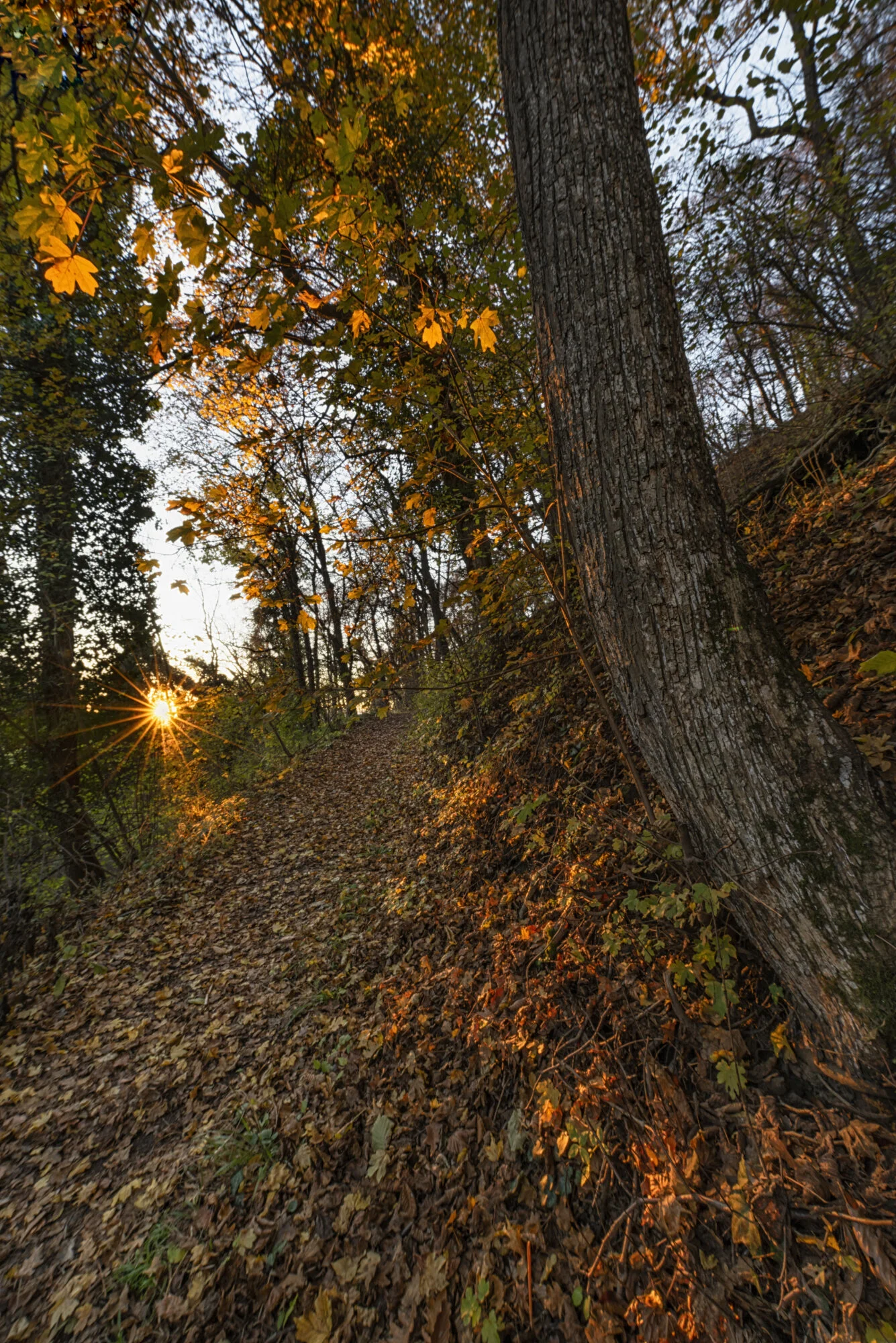 Dankbarkeit auf leisen Sohlen