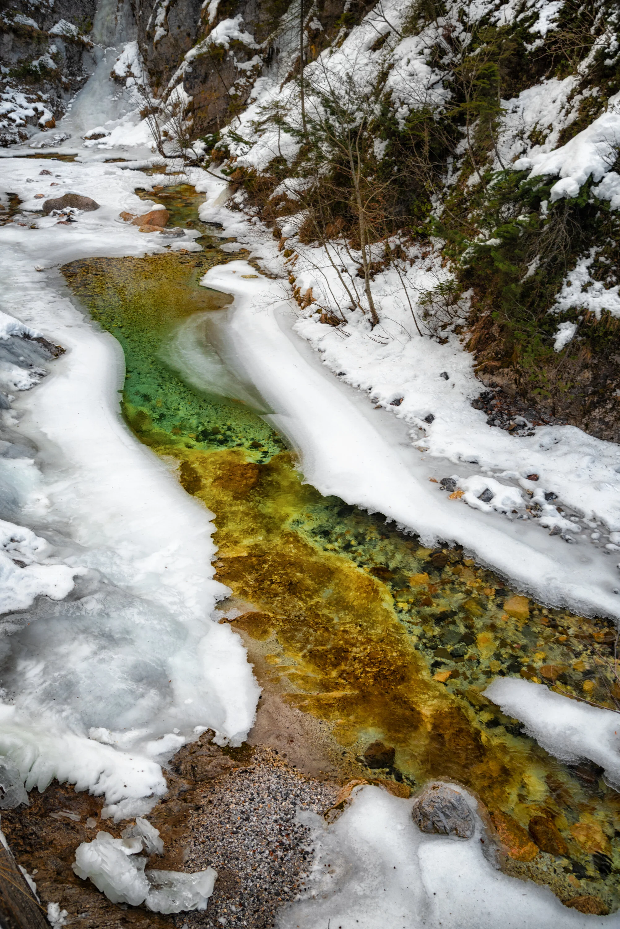 Kristallin : kalt und klar - Carinthischer Winter
