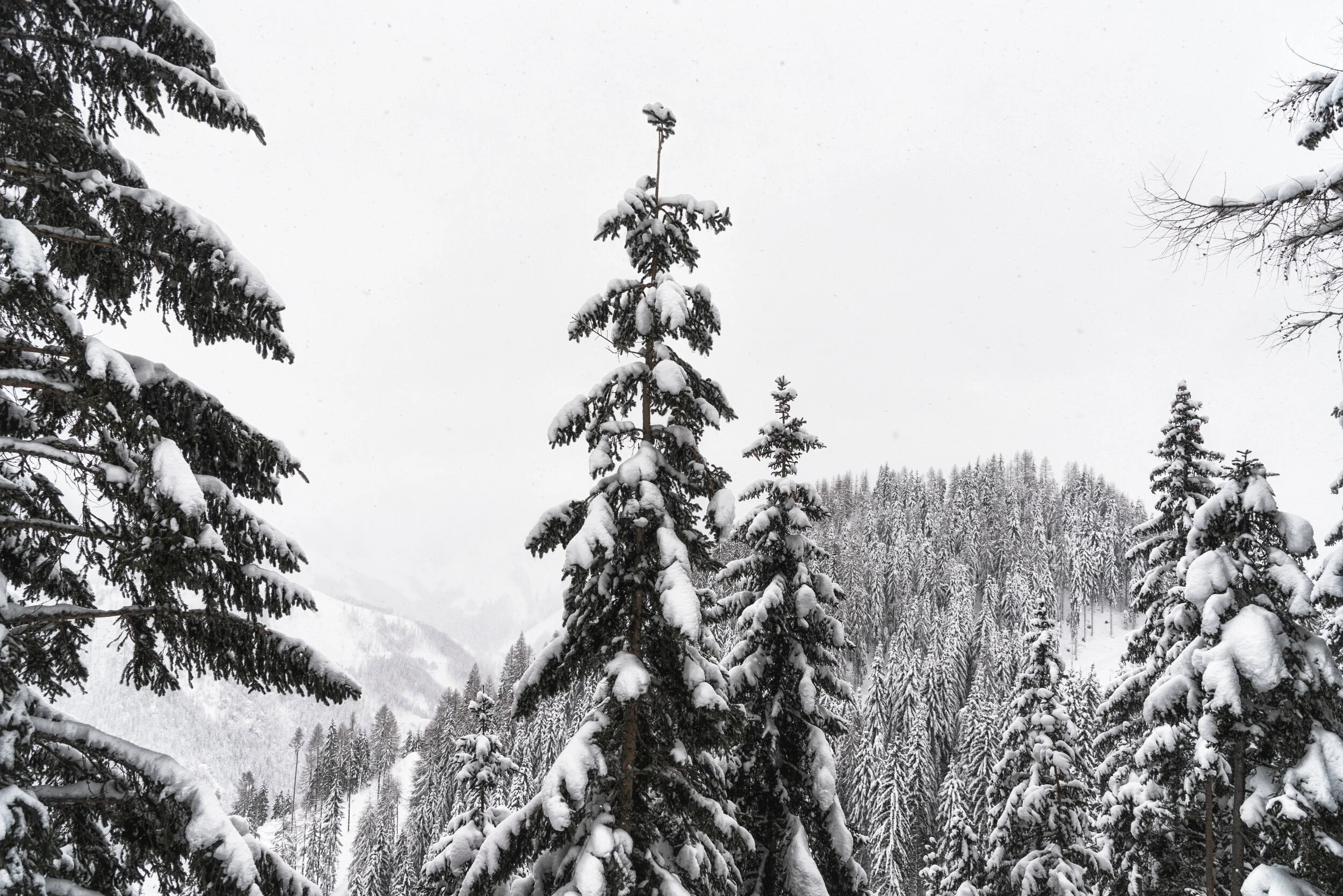 Leise rieselnd... neue Gipfel - Danke, "kleiner" Bruder!