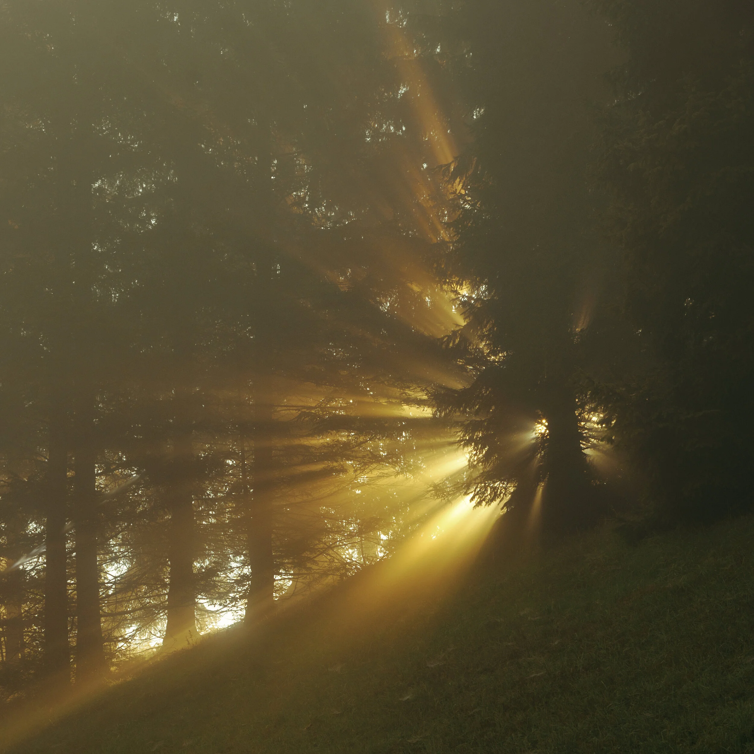 Am Fuss der Drachenwand