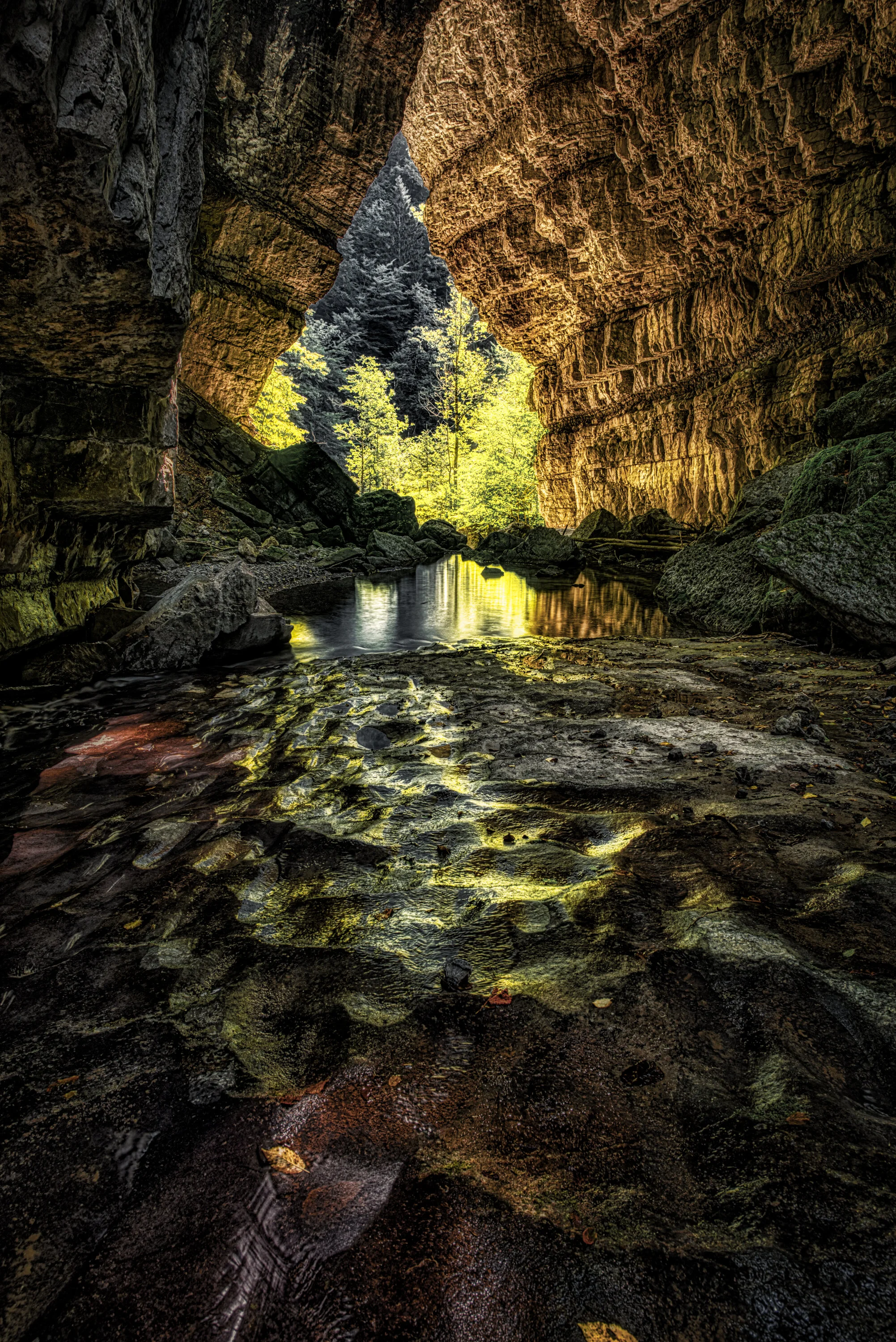 Umwegsrentabilitäten