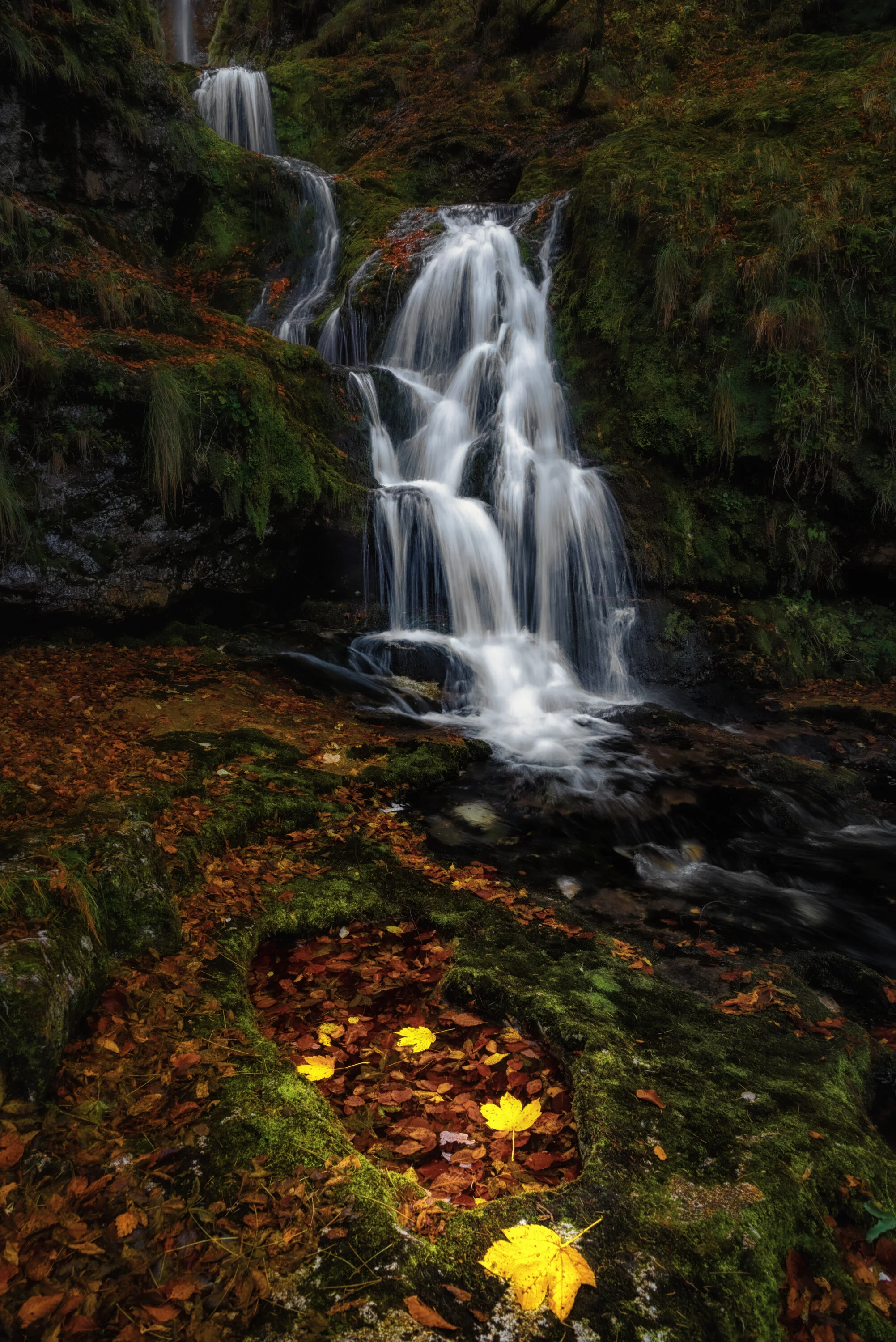 Vordergrund macht Bilder g'sund....