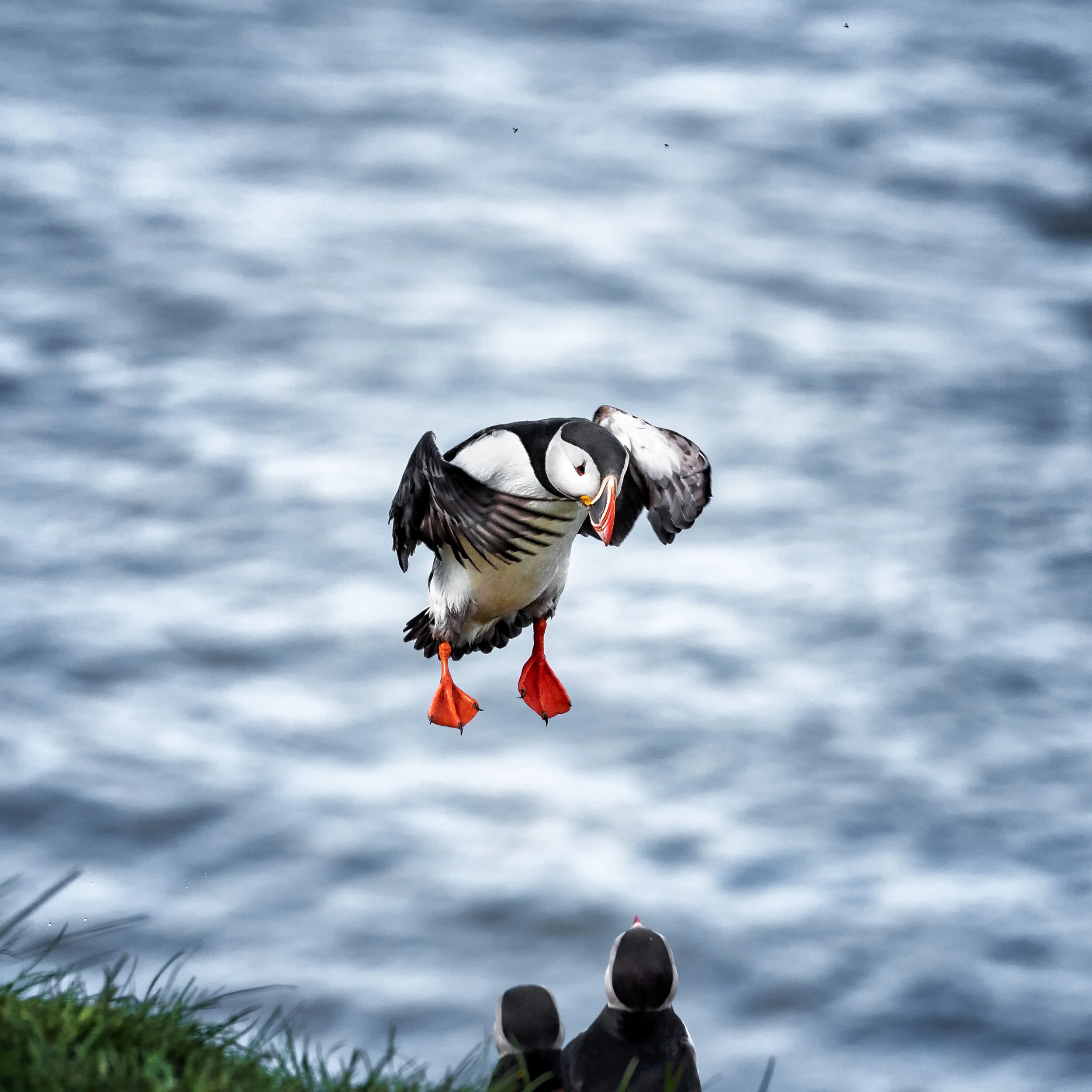 Freudig erwartete Landung