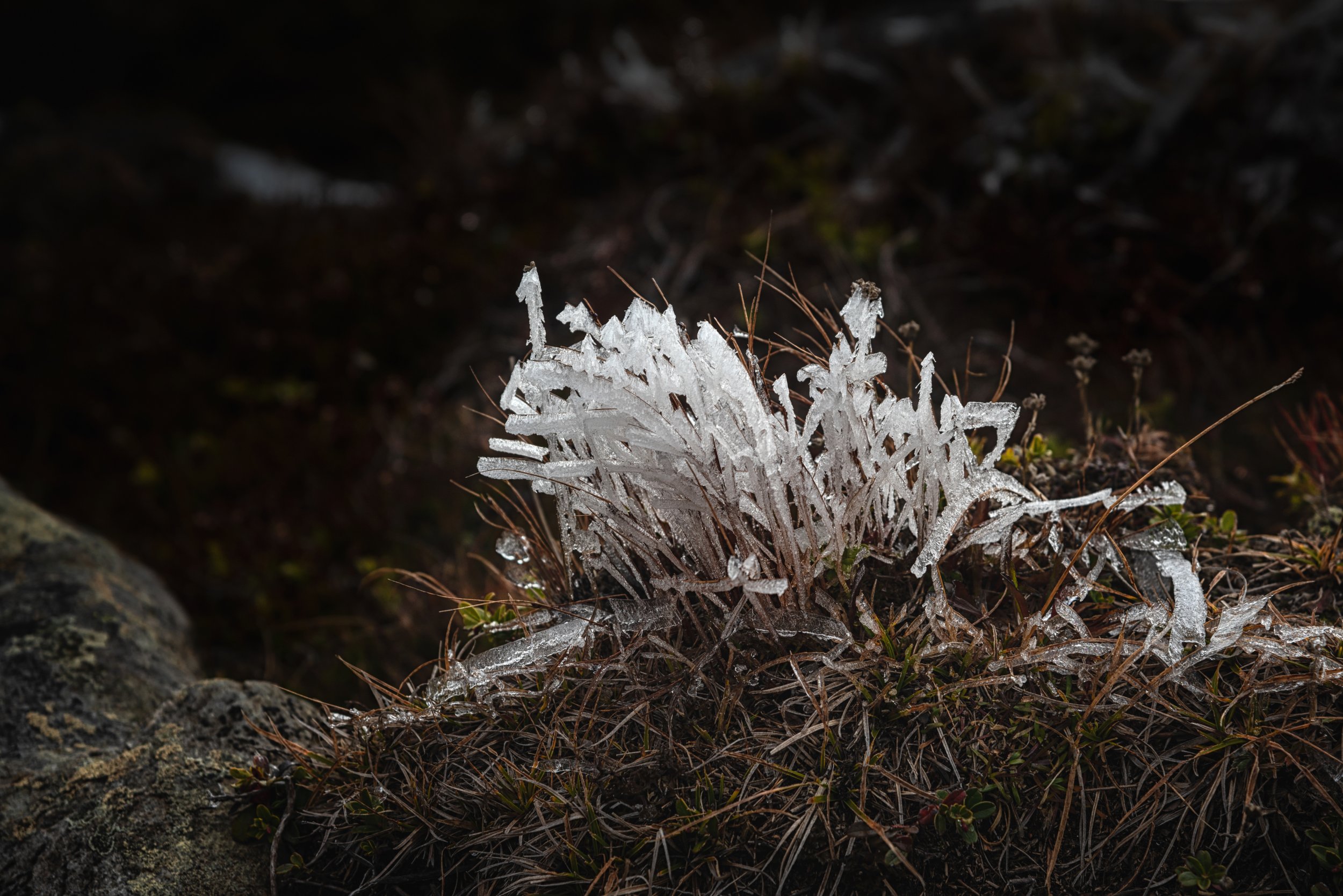 Kein Schock, nur Frost