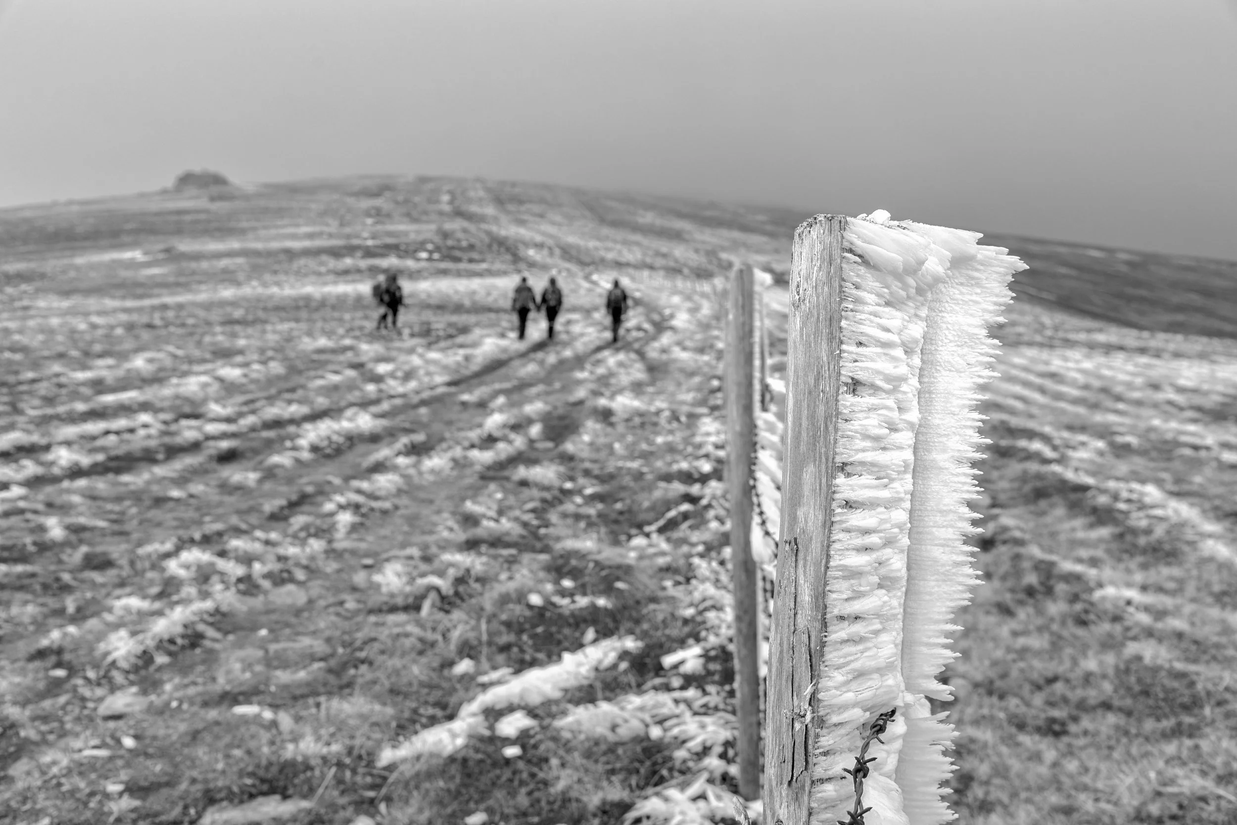 Rot-Grün-Schwäche? Auch kein Problem!