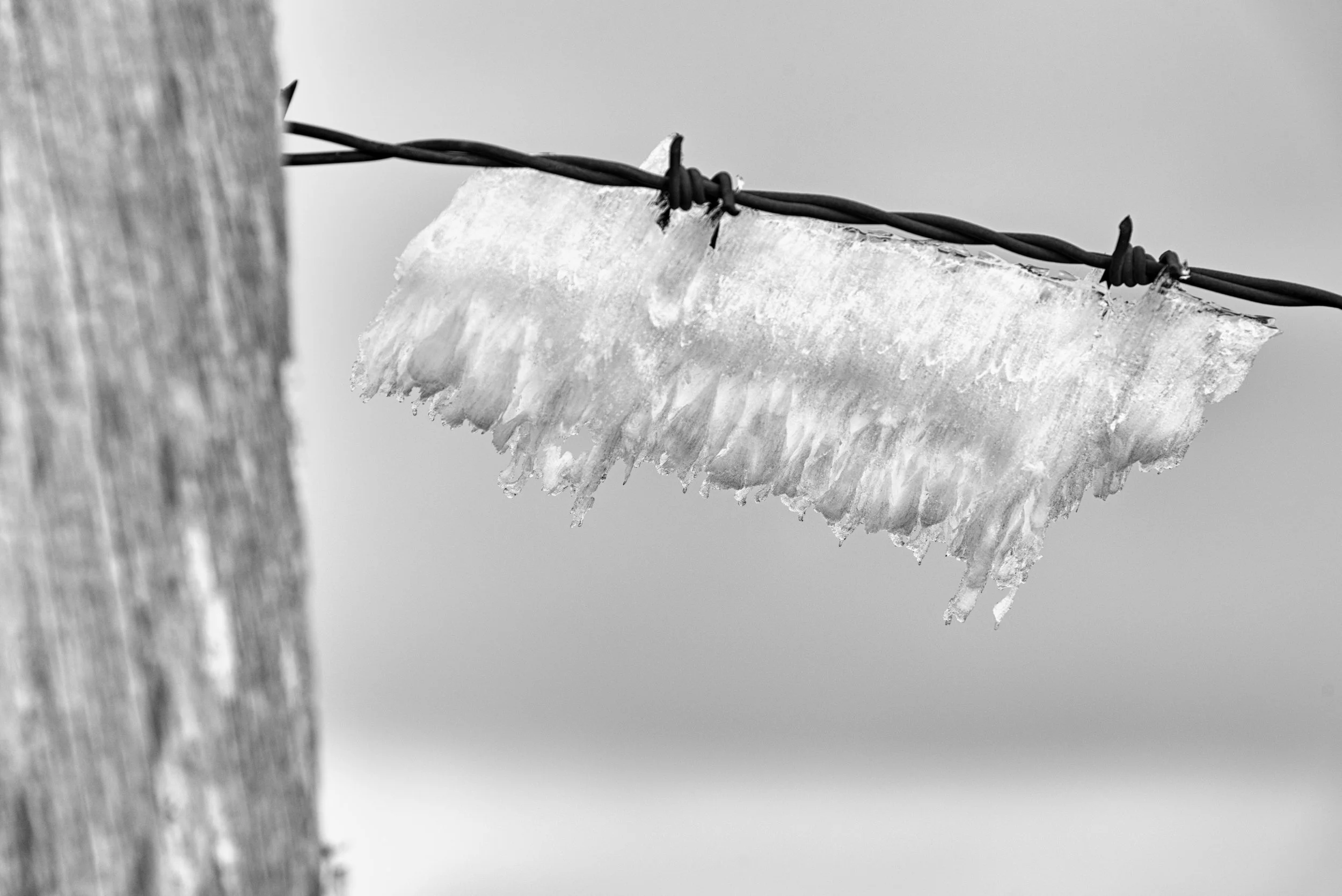 Kurzfristig bestaunenswert