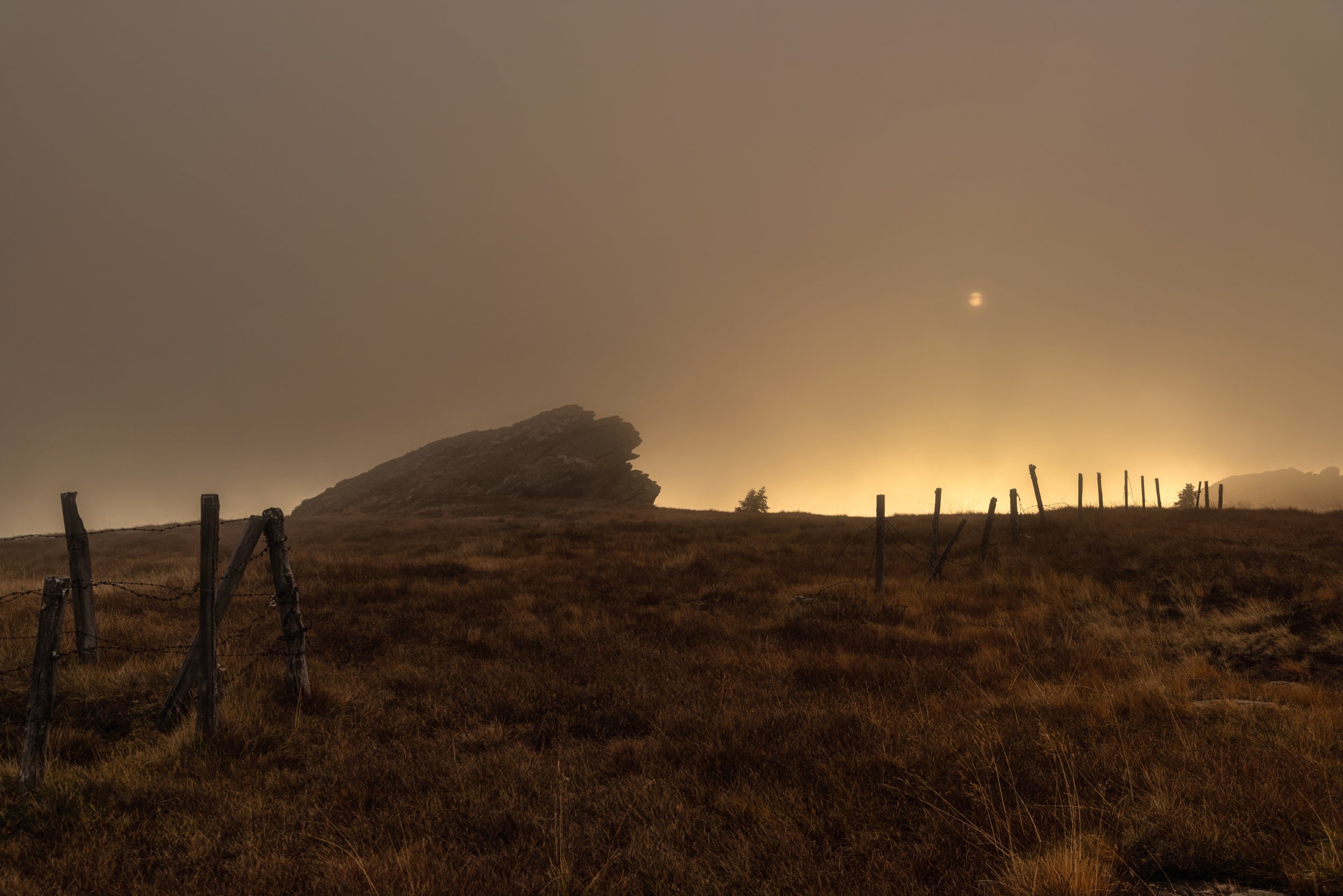 Magical Mistery Tour