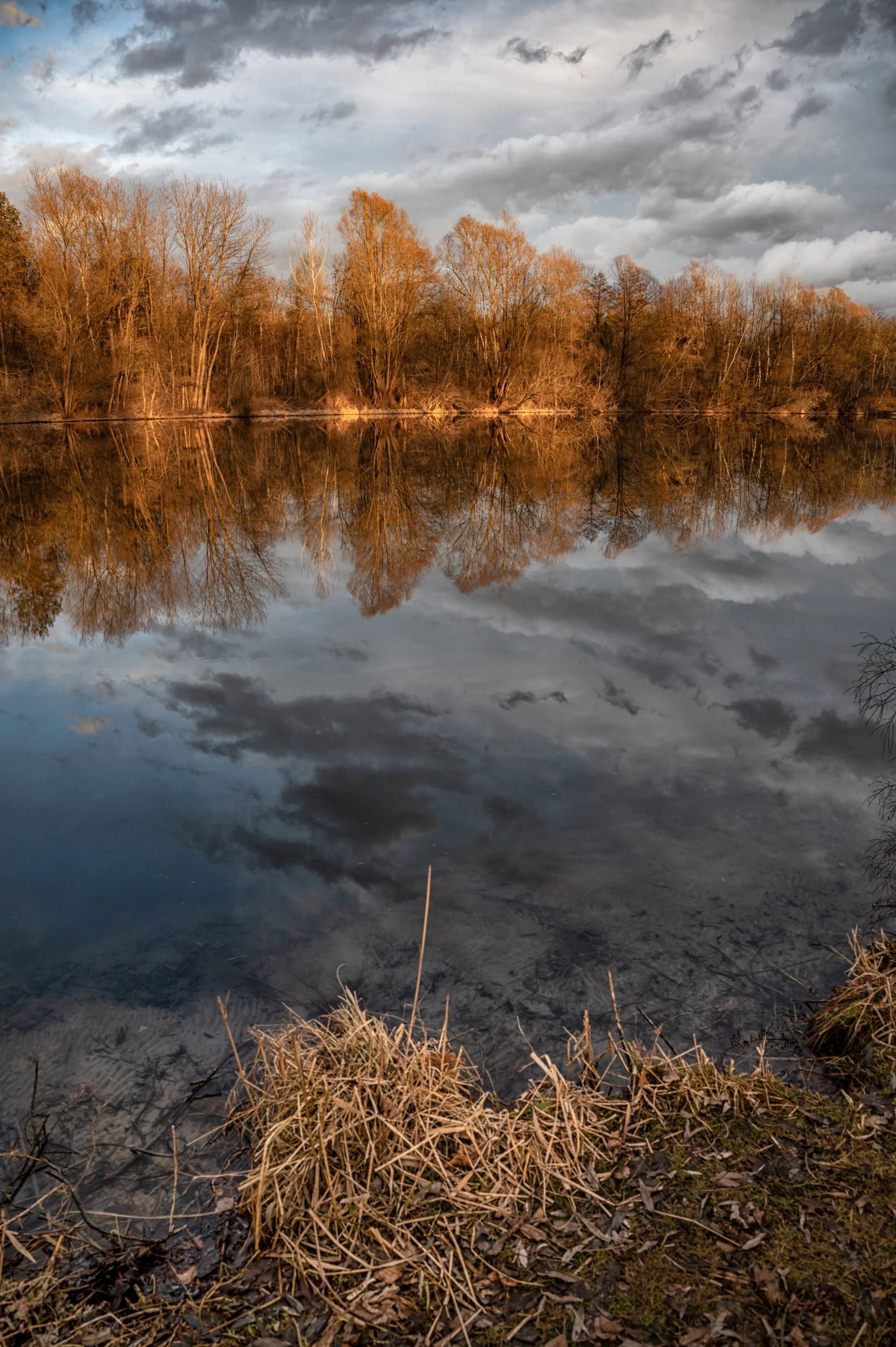 Flusslandschaft an der Mur, Südsteiermark