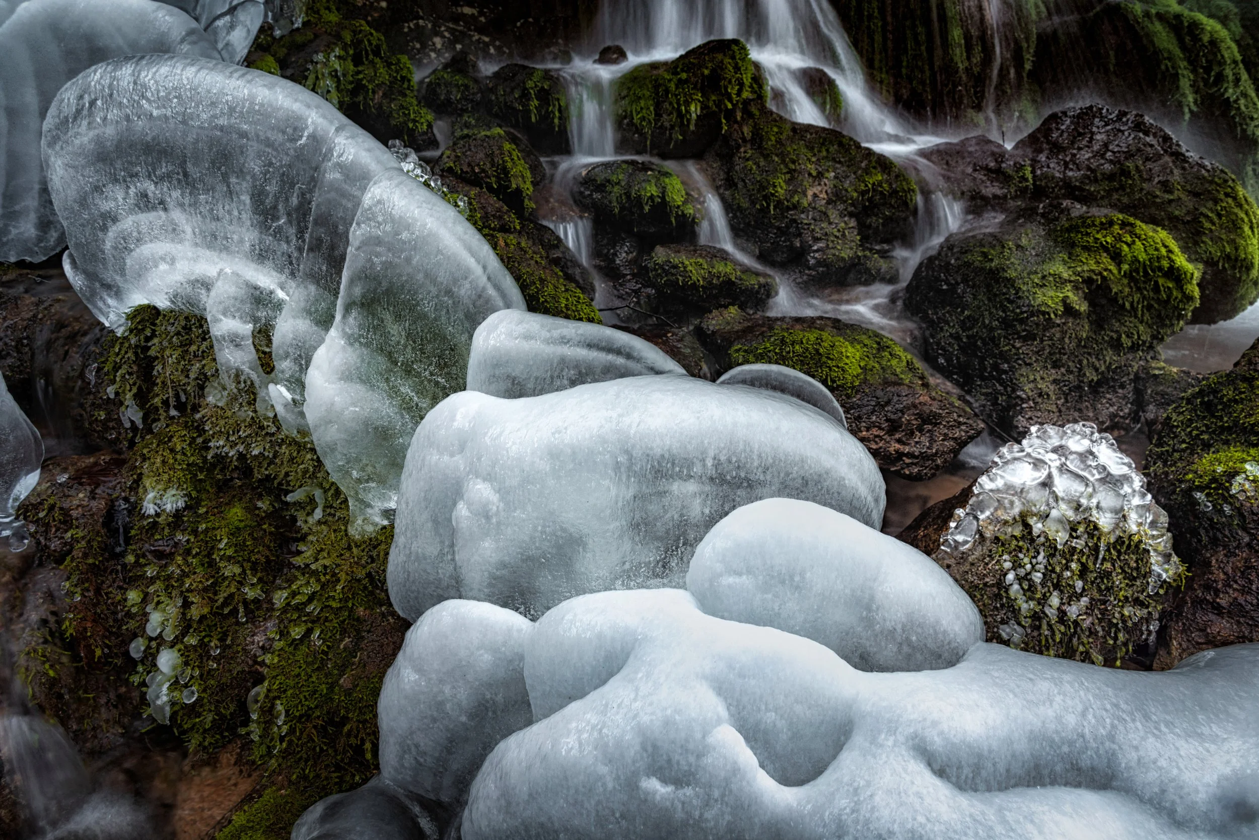 Die Magie frostiger Tage