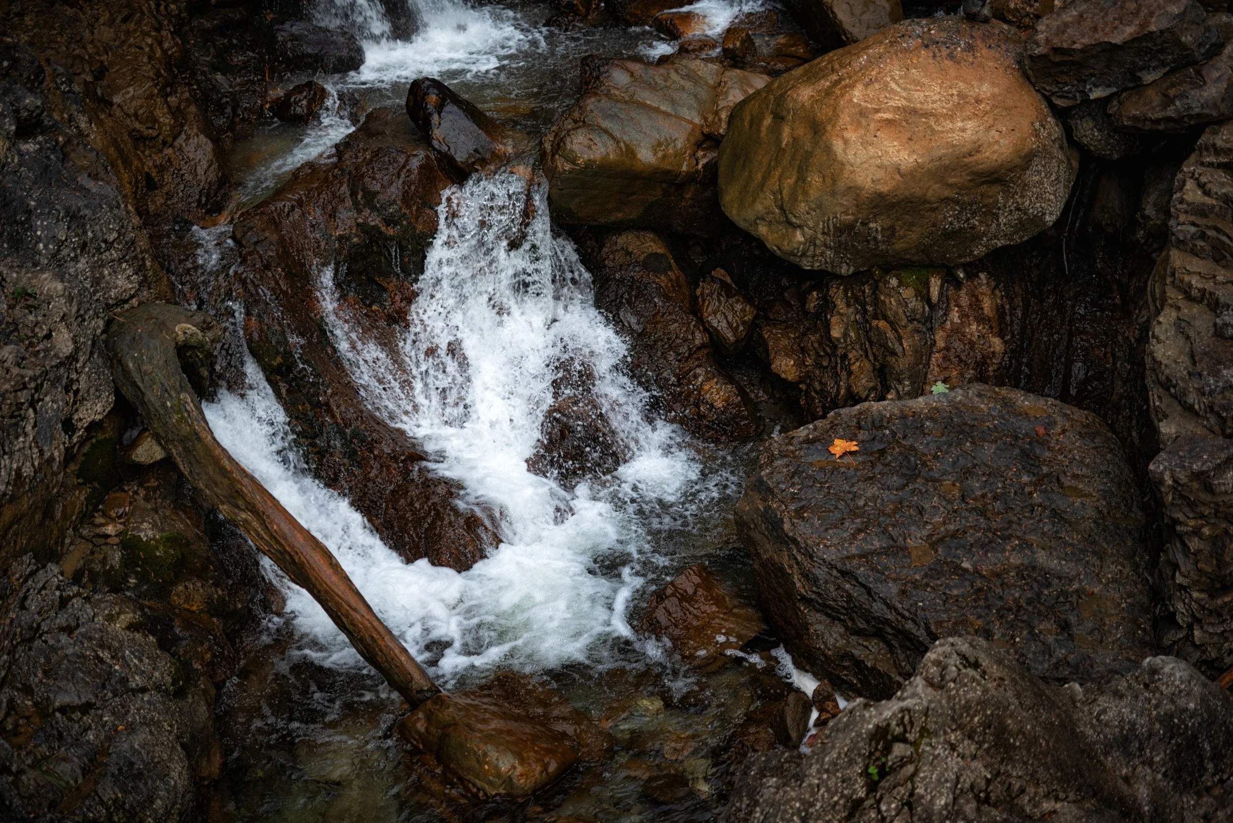 In finstrem Tal - Kuhflucht, Bayern