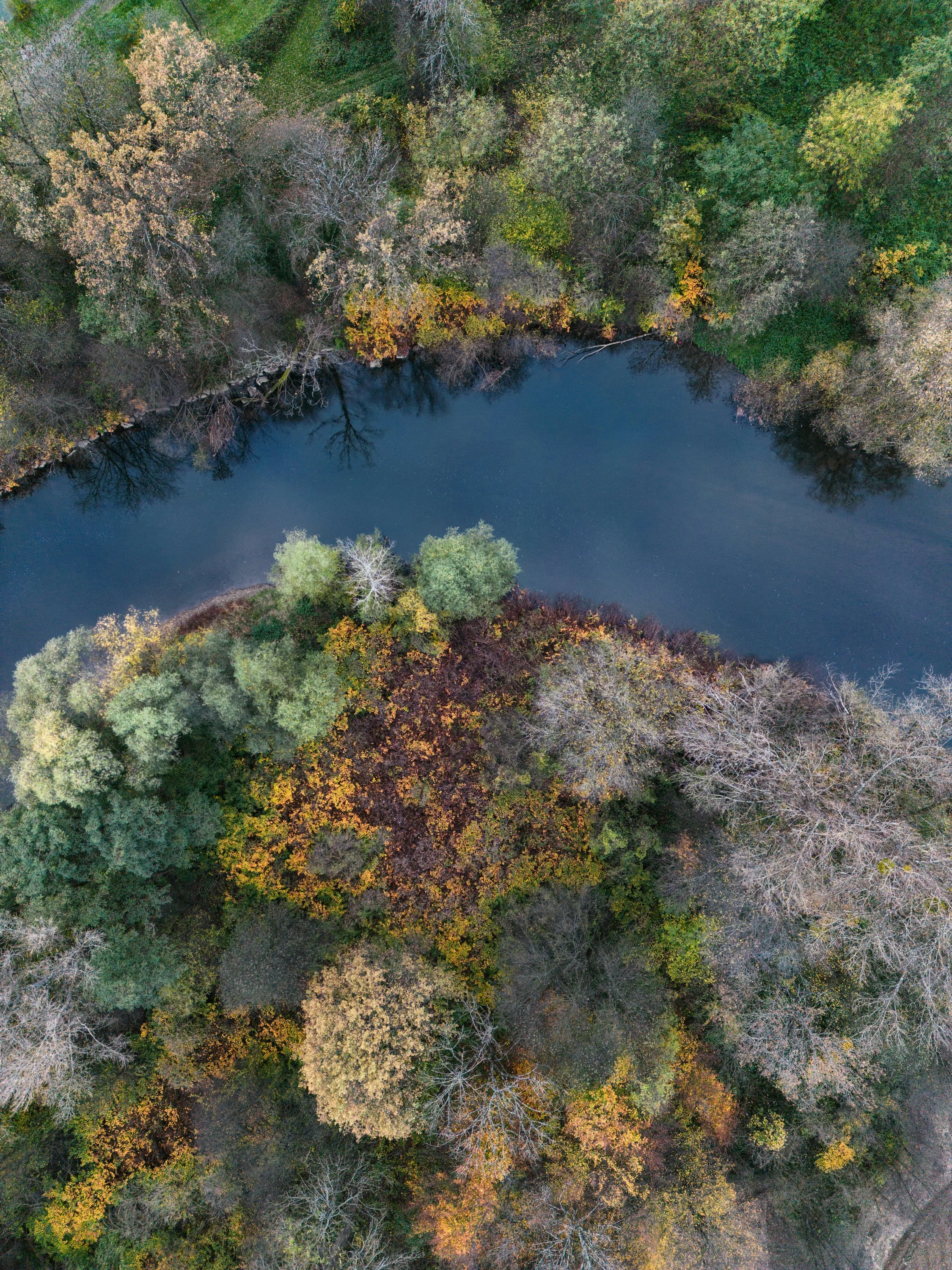 Der Herbst vor unserer Haustür