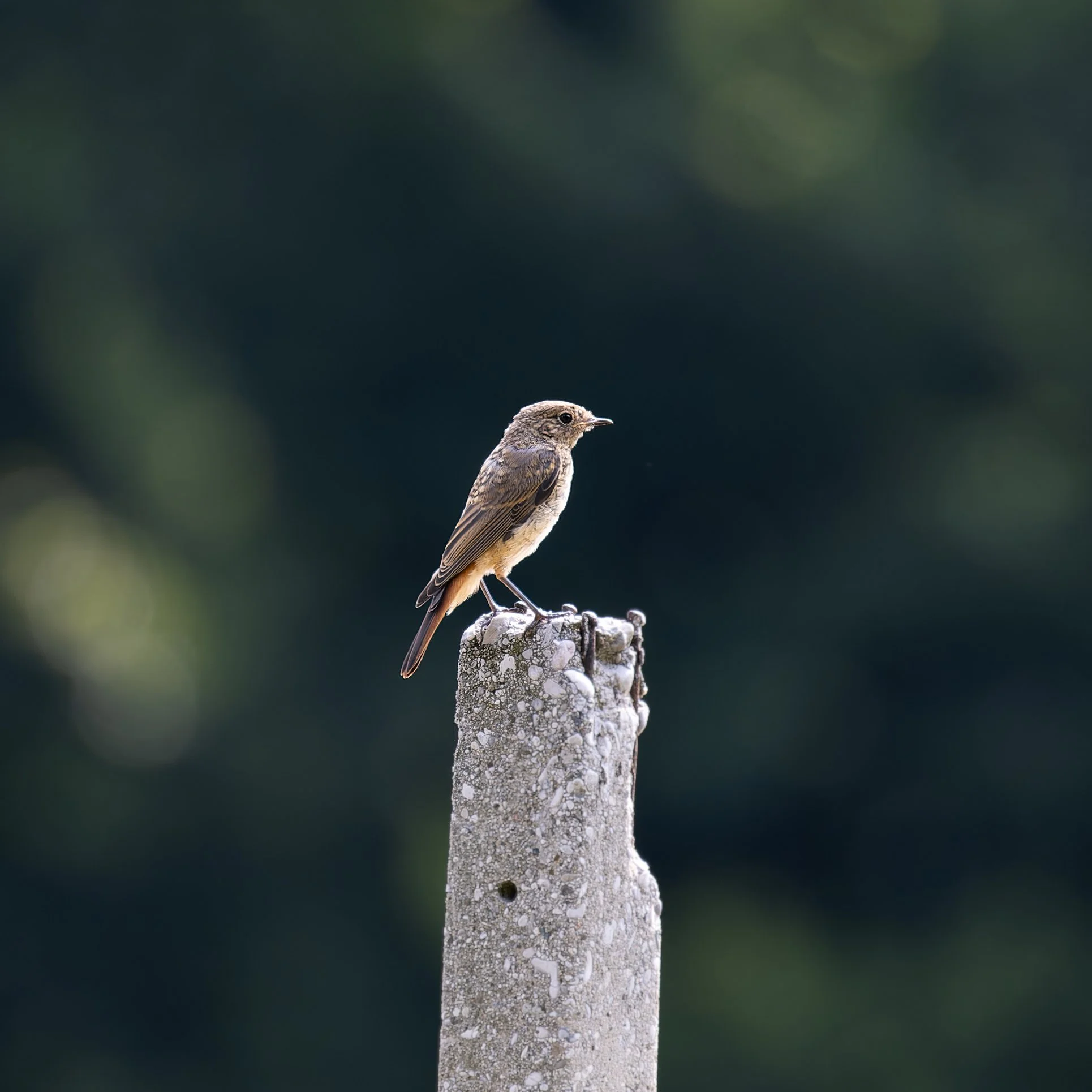 In der Ruhe liegt... die Anonymität
