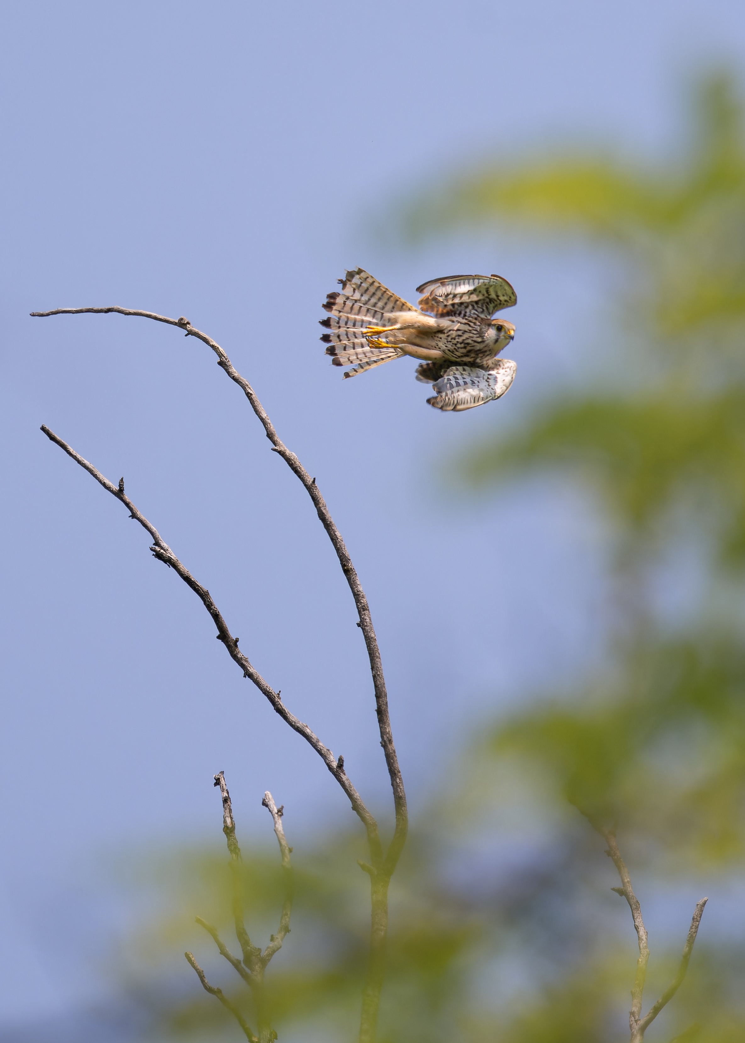 Den Rahmen sprengen, ab und an