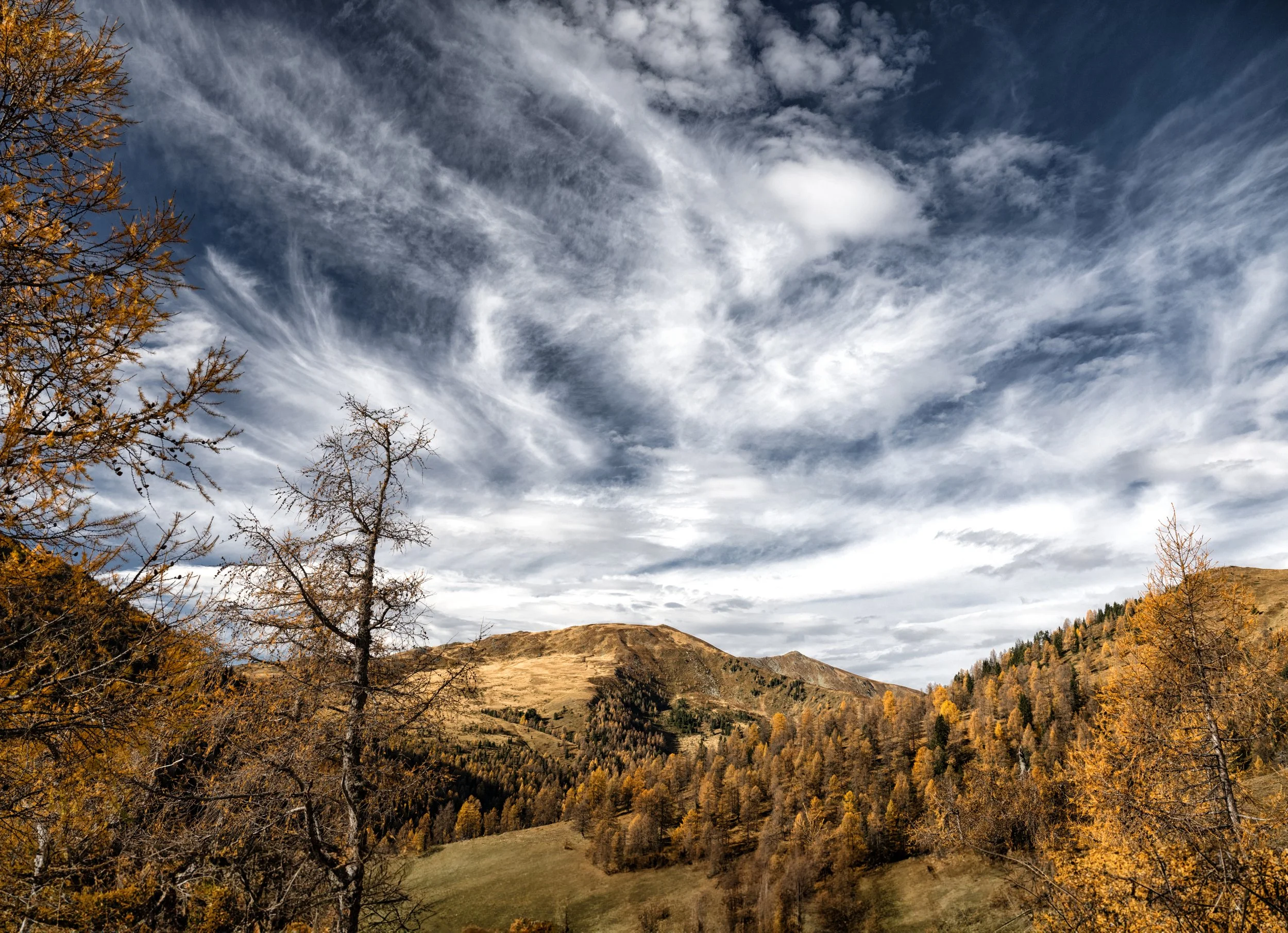 Herkommen und Hingehören: Meine Kärntner Wurzeln
