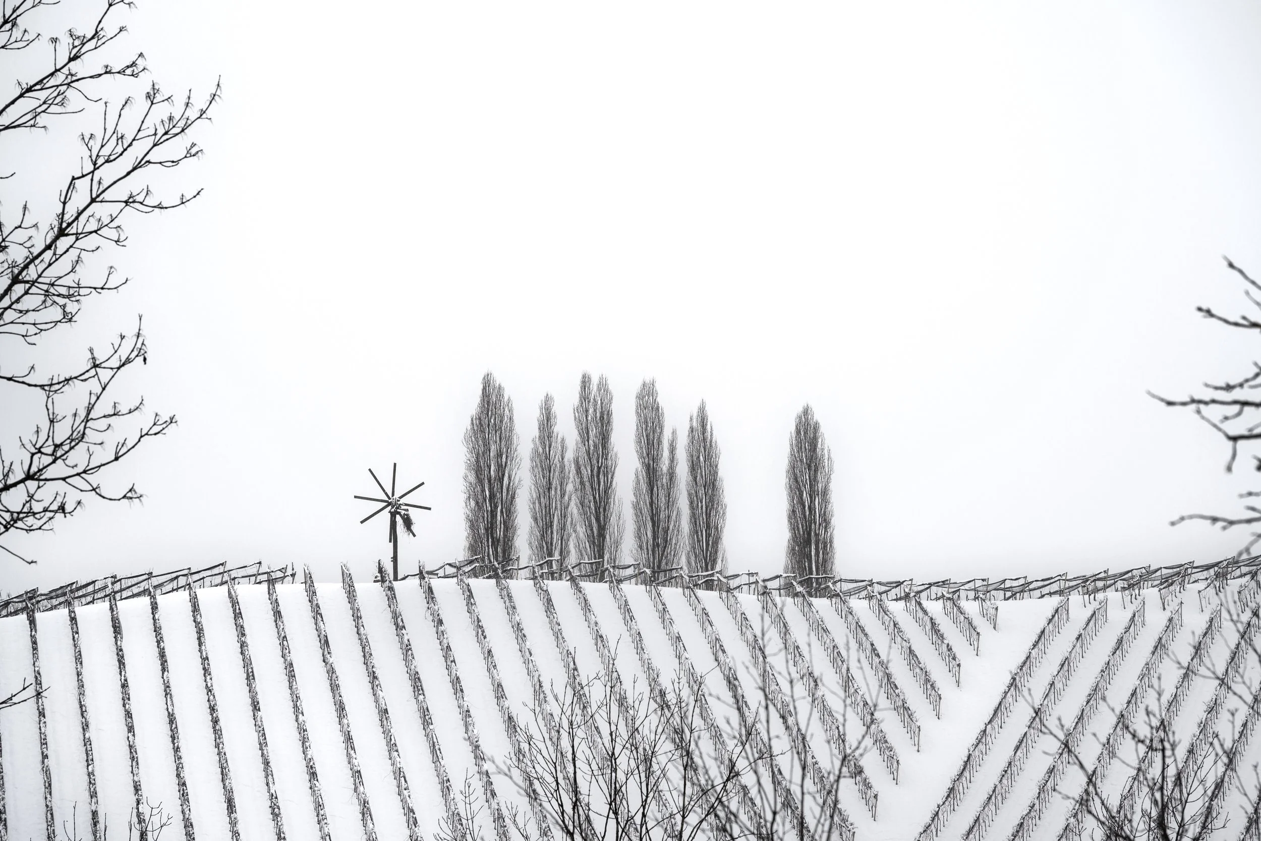 Wenigstens kein Glühwein