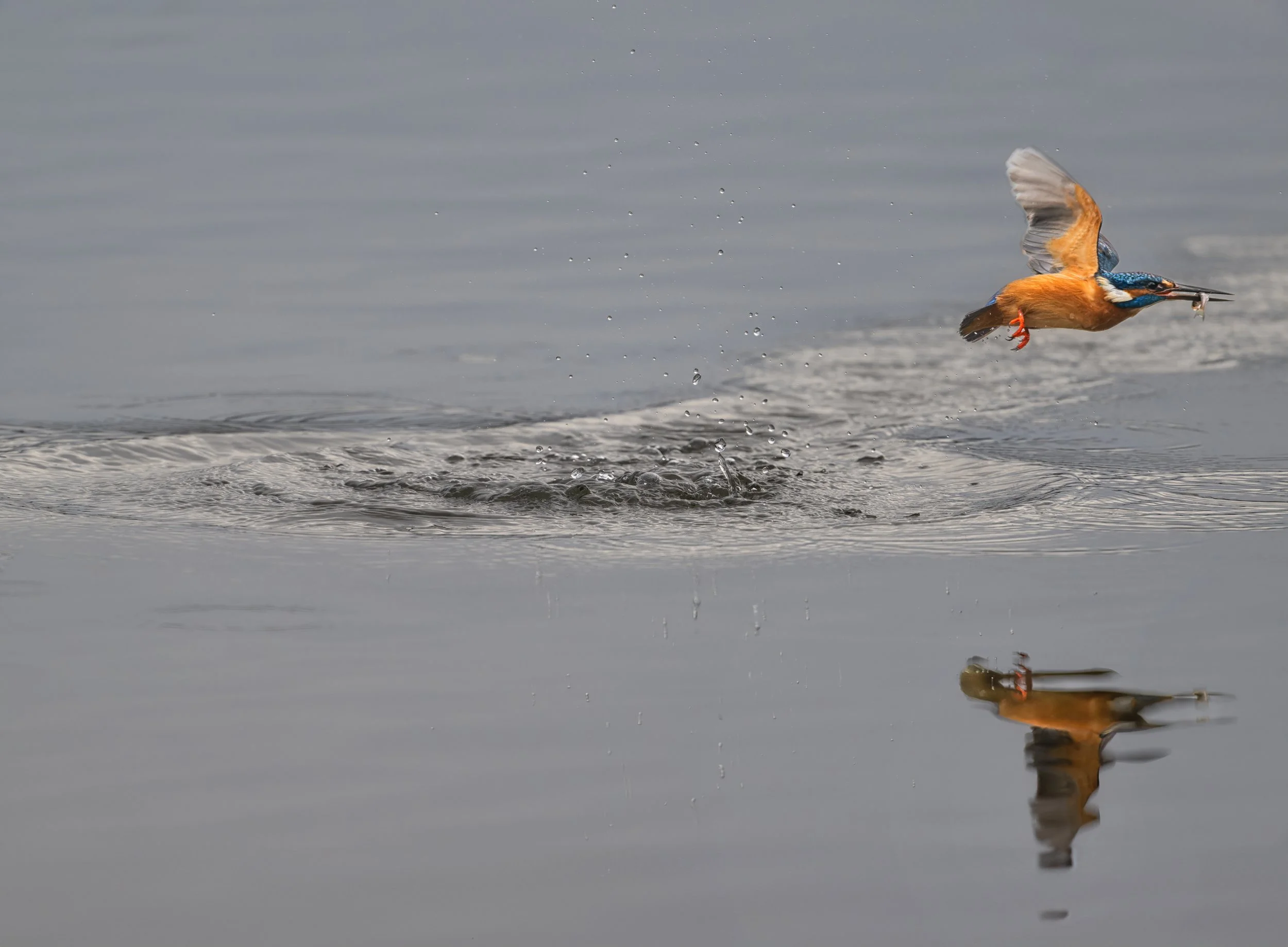 Des Fotografen stete Geduldsproben...