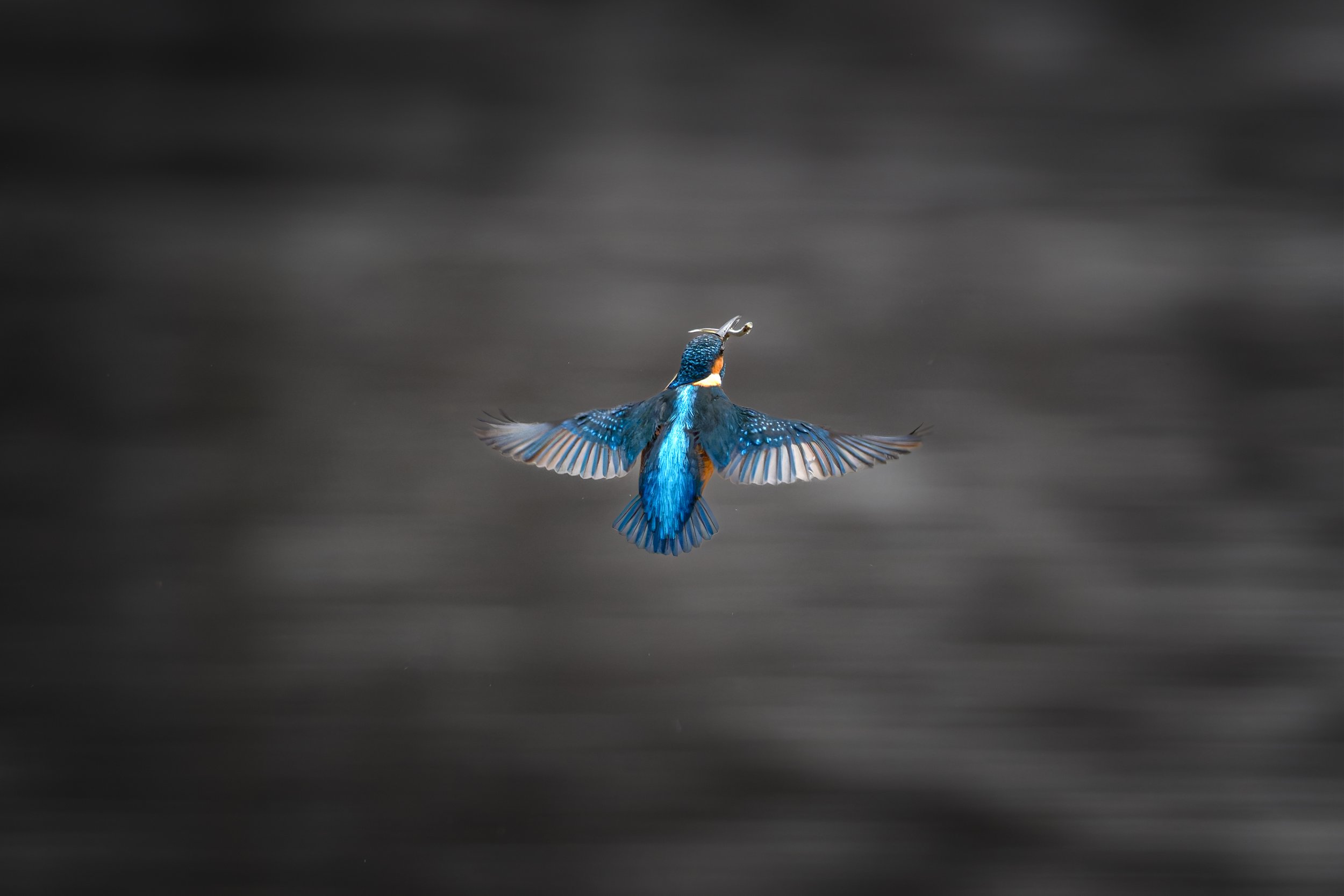 Frühstück im Regen