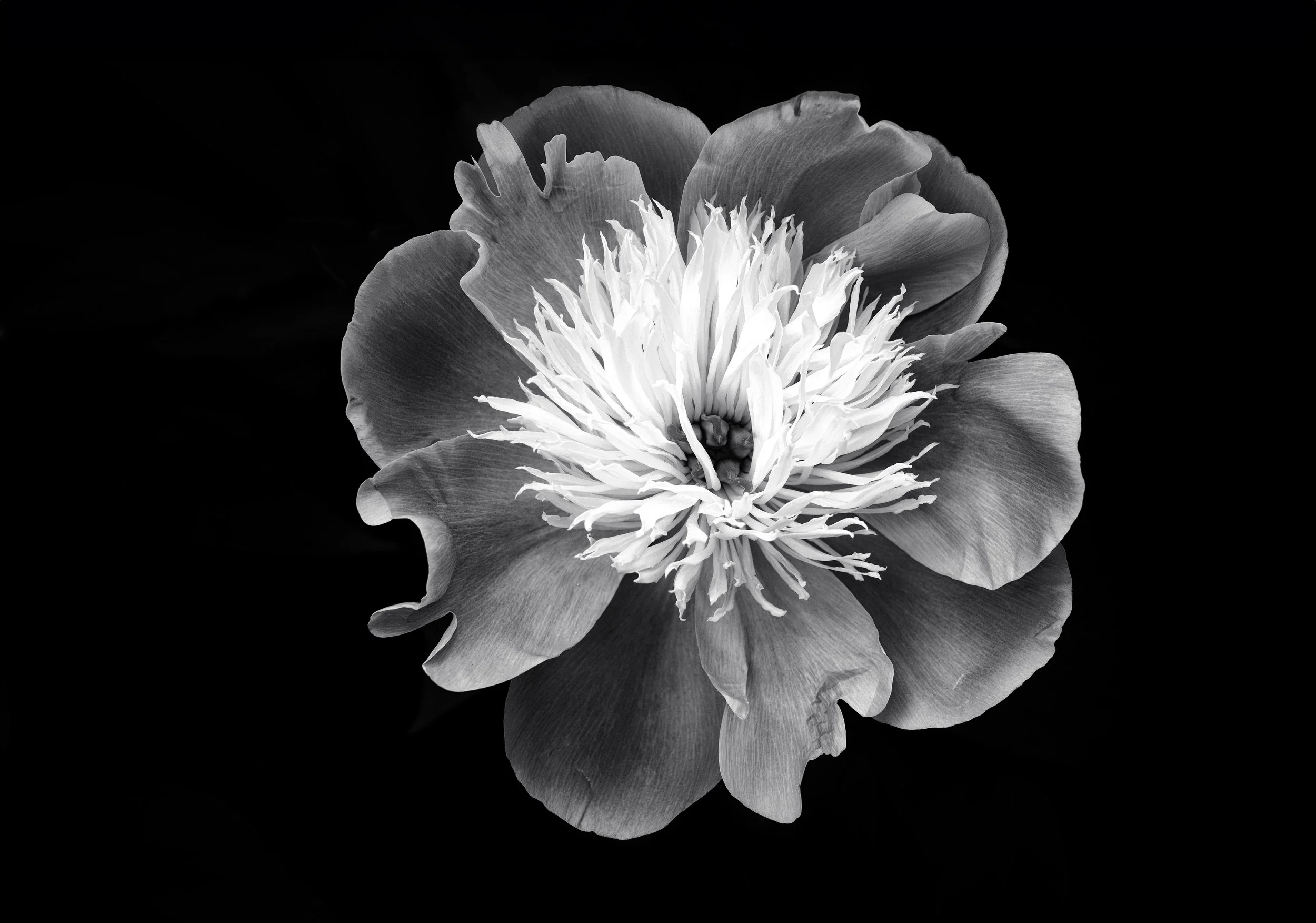 Schwelgen.Fernab der Farben