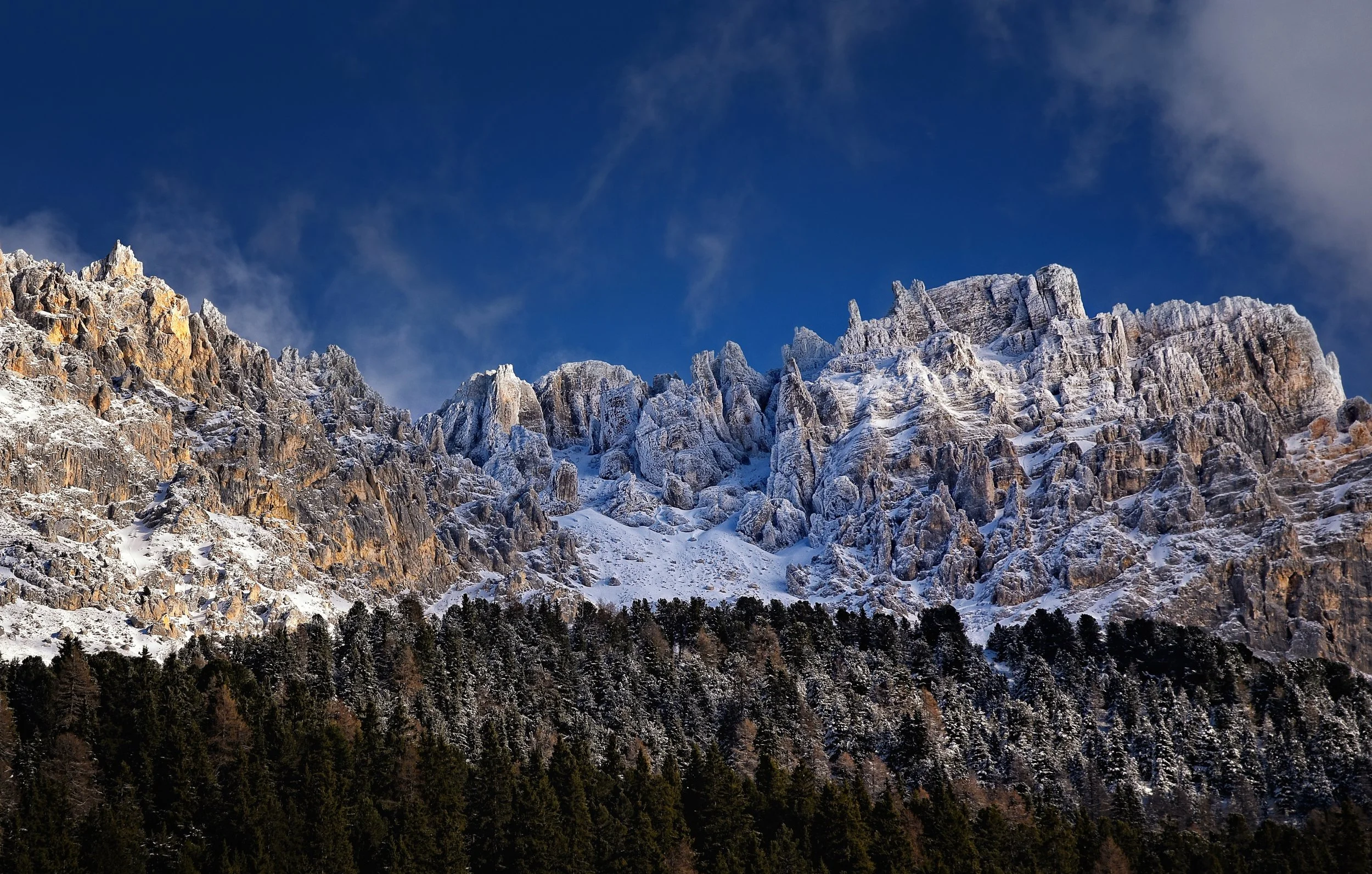 Rund ums Jahr und in jeder Höhenlage....