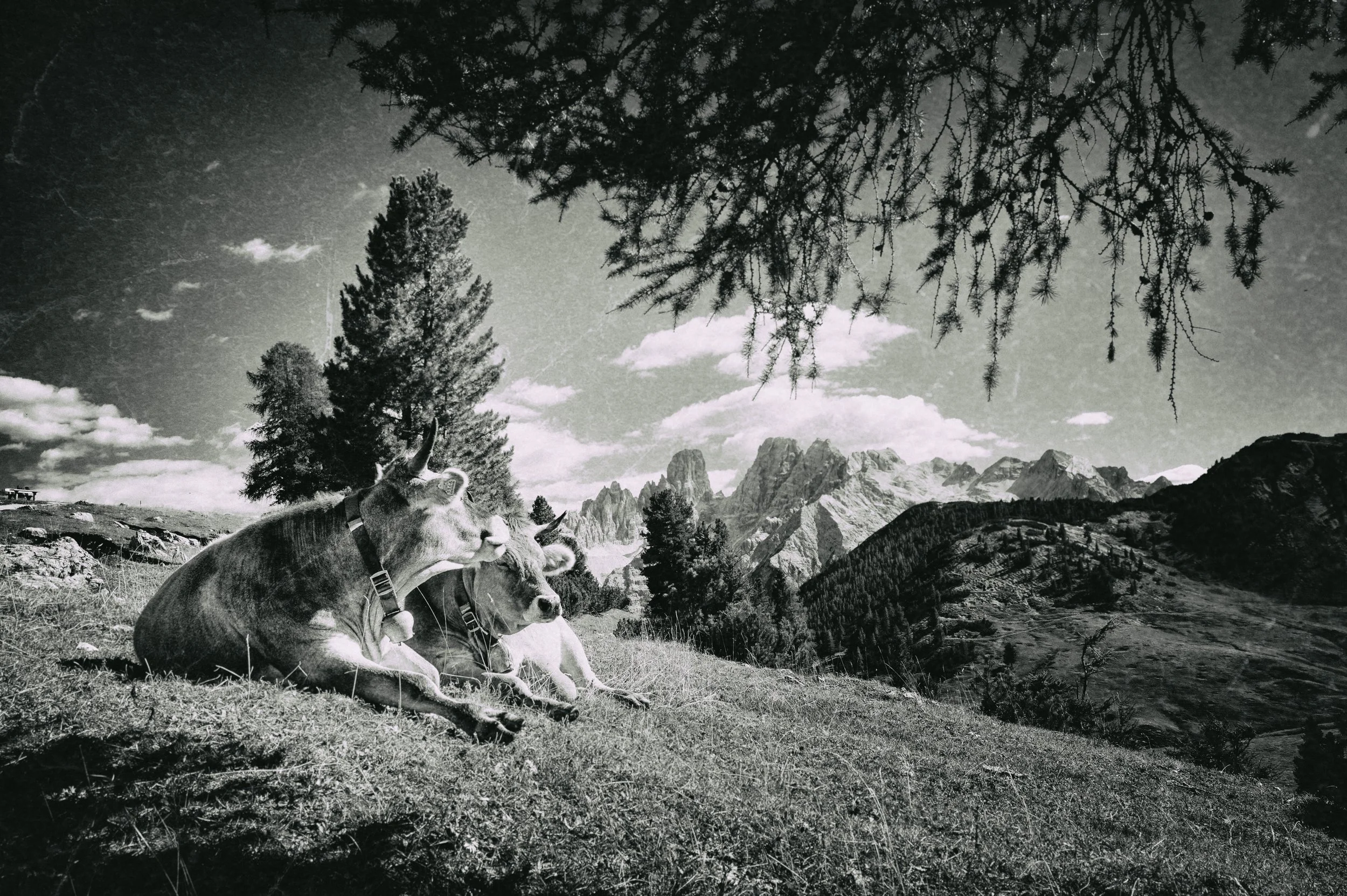 Früher war alles besser - auch das gemeinsame Fern-Sehen!