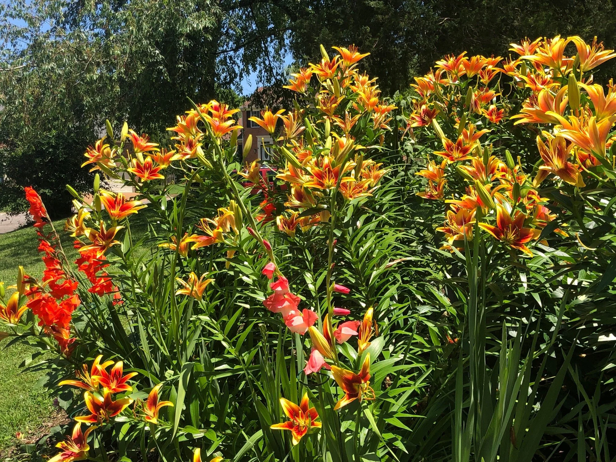 IMG_7174.JPG