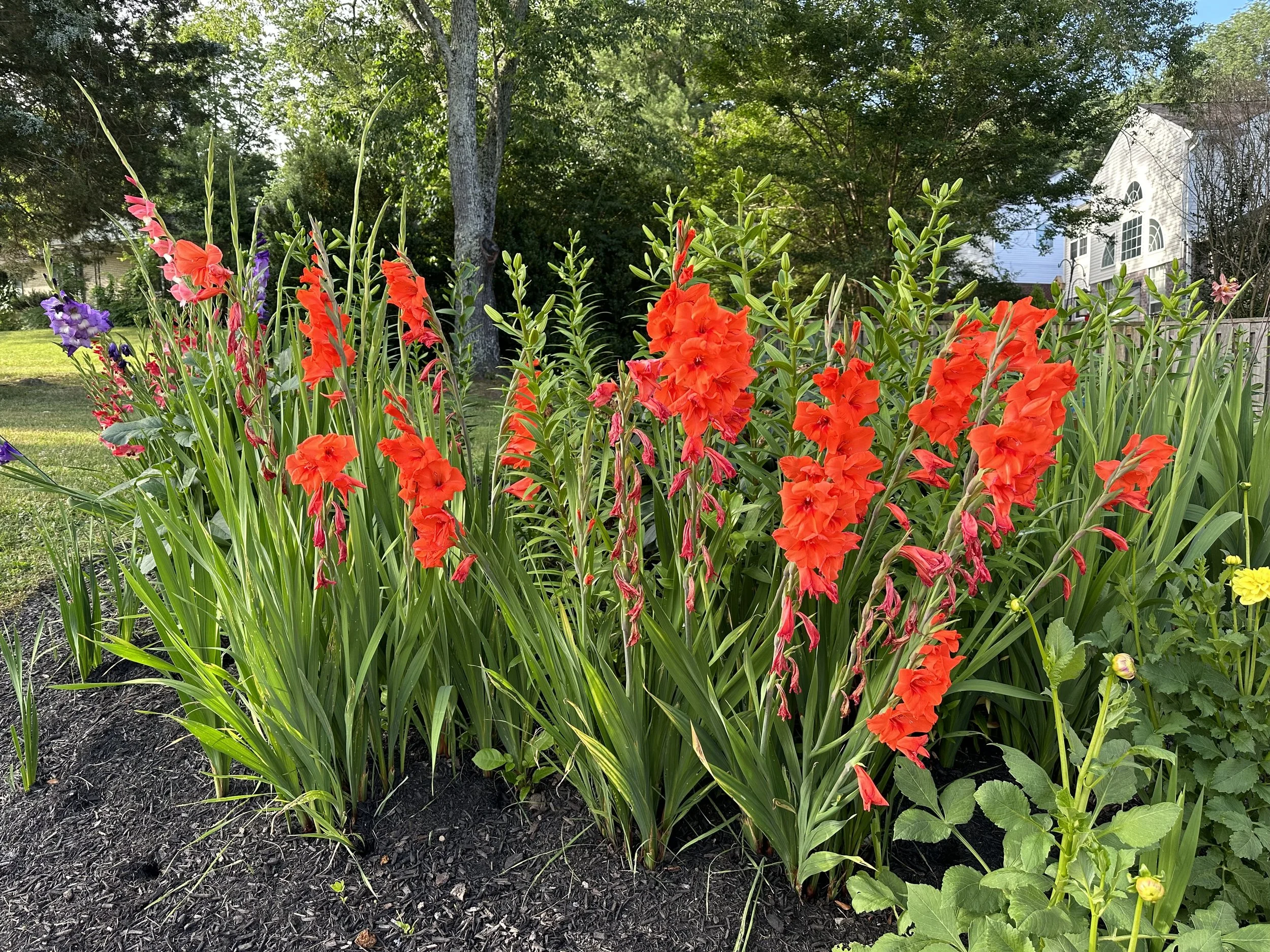 IMG_6900.jpeg