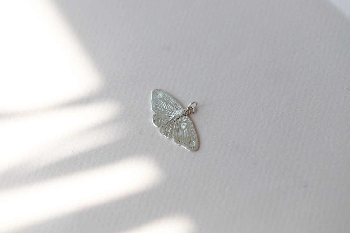 MOTH SIL 12.jpg