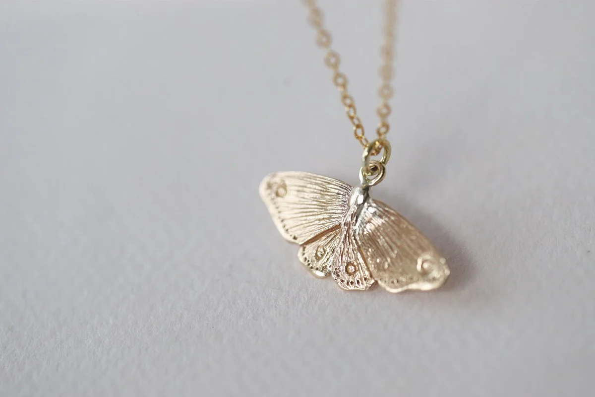 MOTH BZ 1.jpg