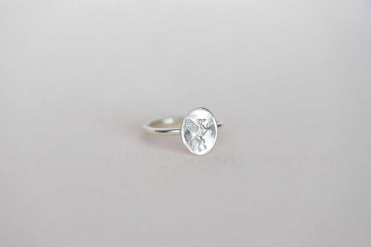 Nocturne ~ Pegasus ring, Silver