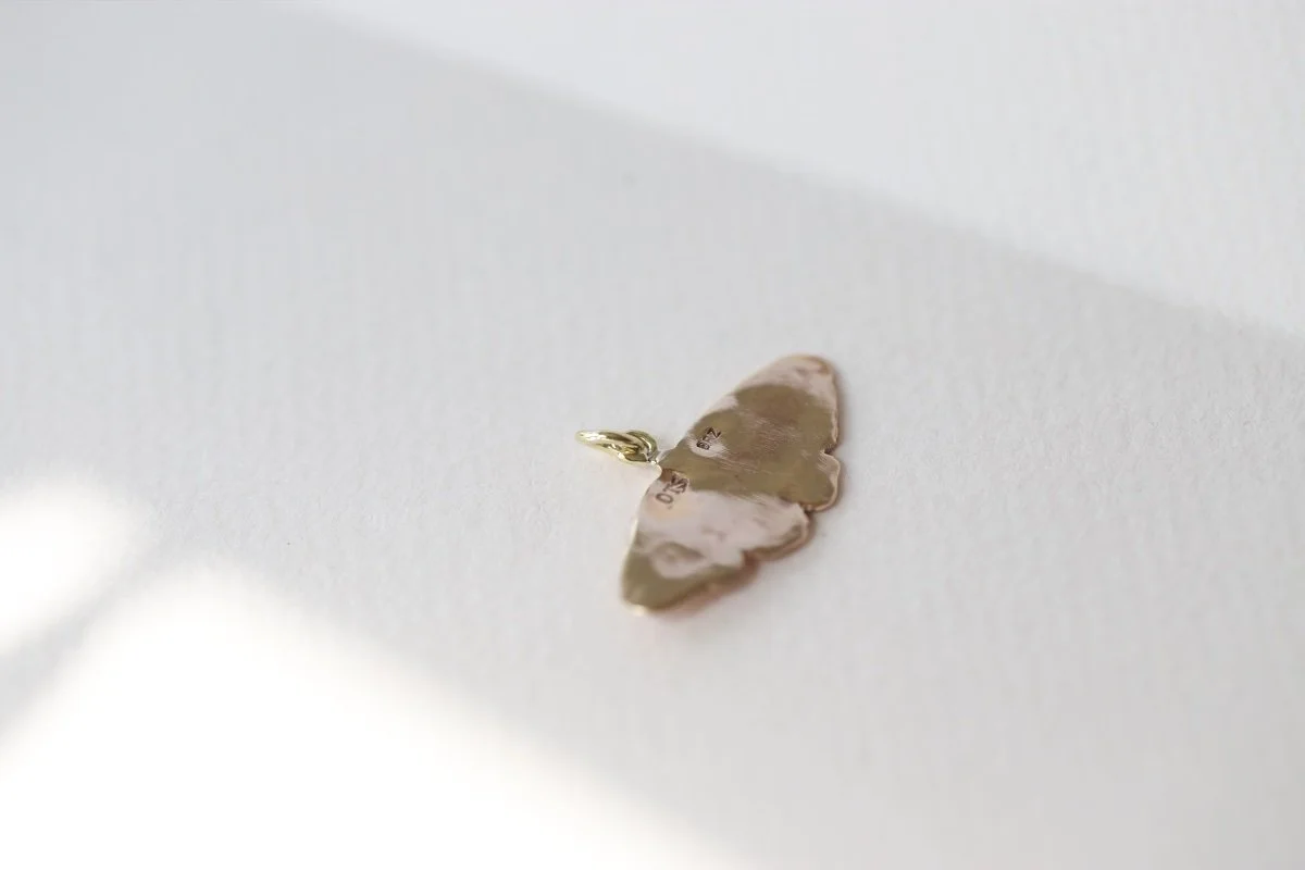 MOTH BZ 7.jpg